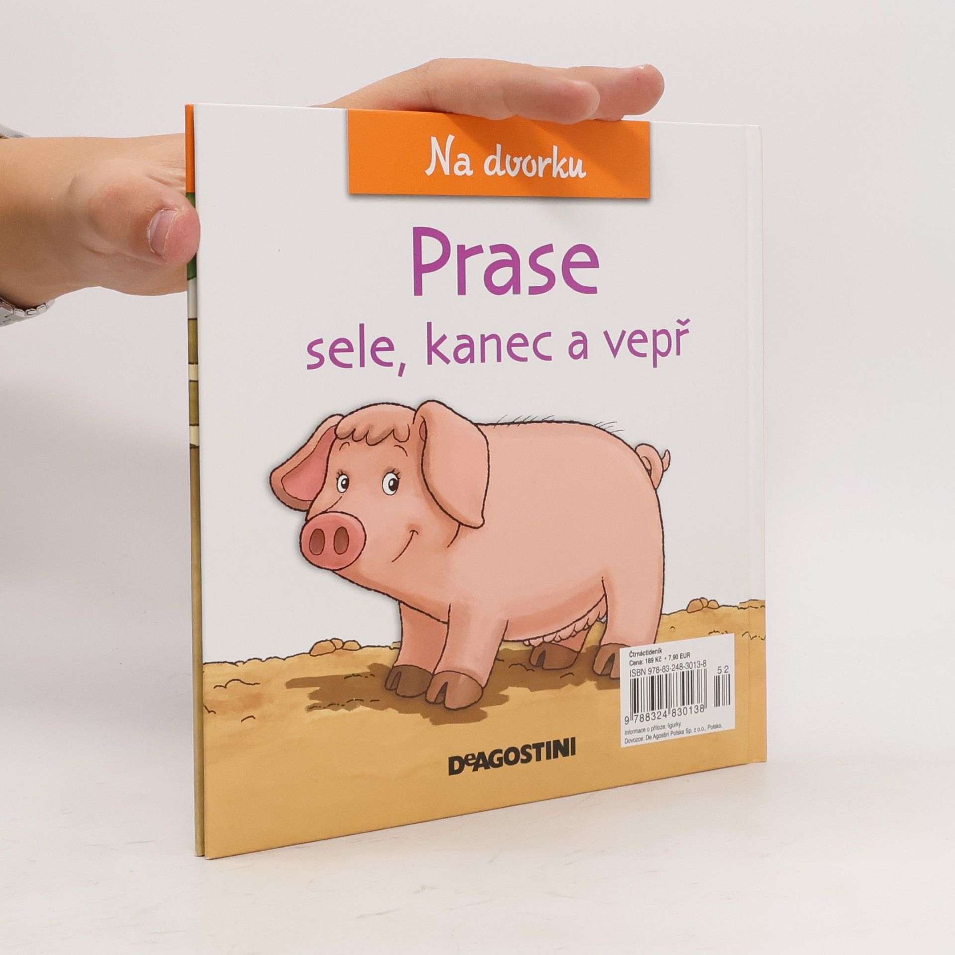 Various authors Na dvorku 23. Prase