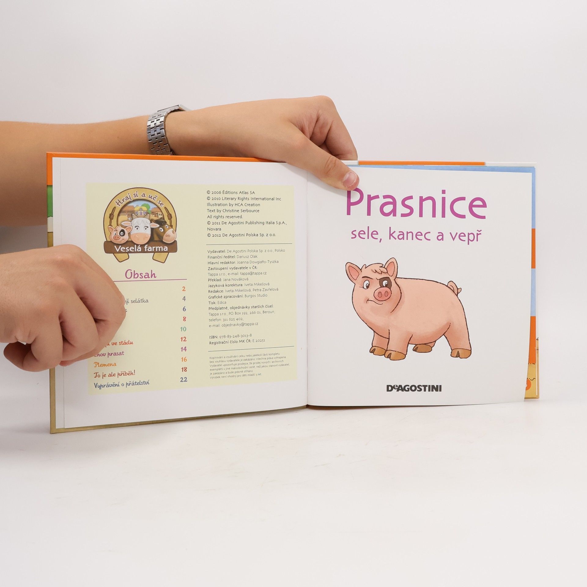 Various authors Na dvorku 23. Prase