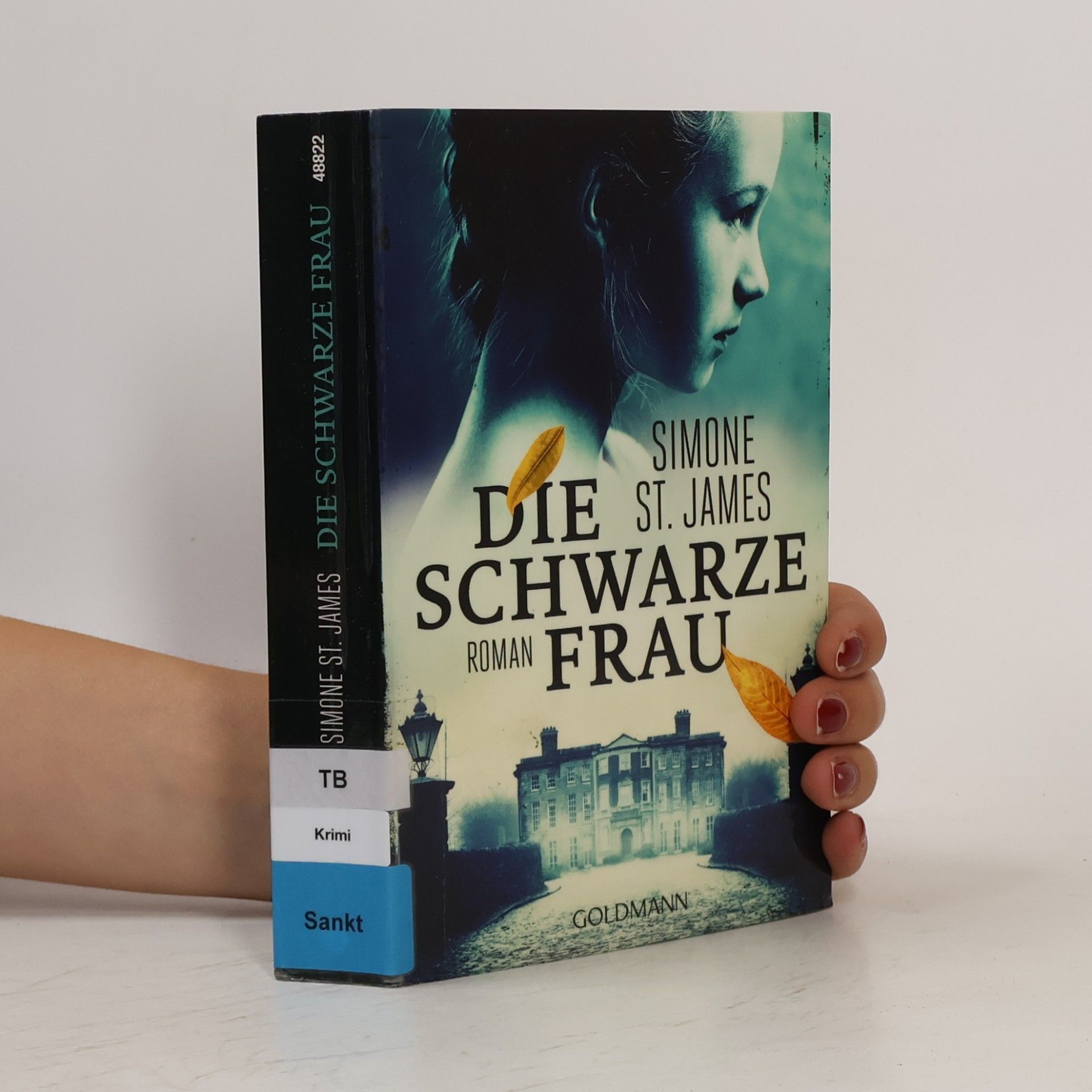 Simone St. James Die schwarze Frau