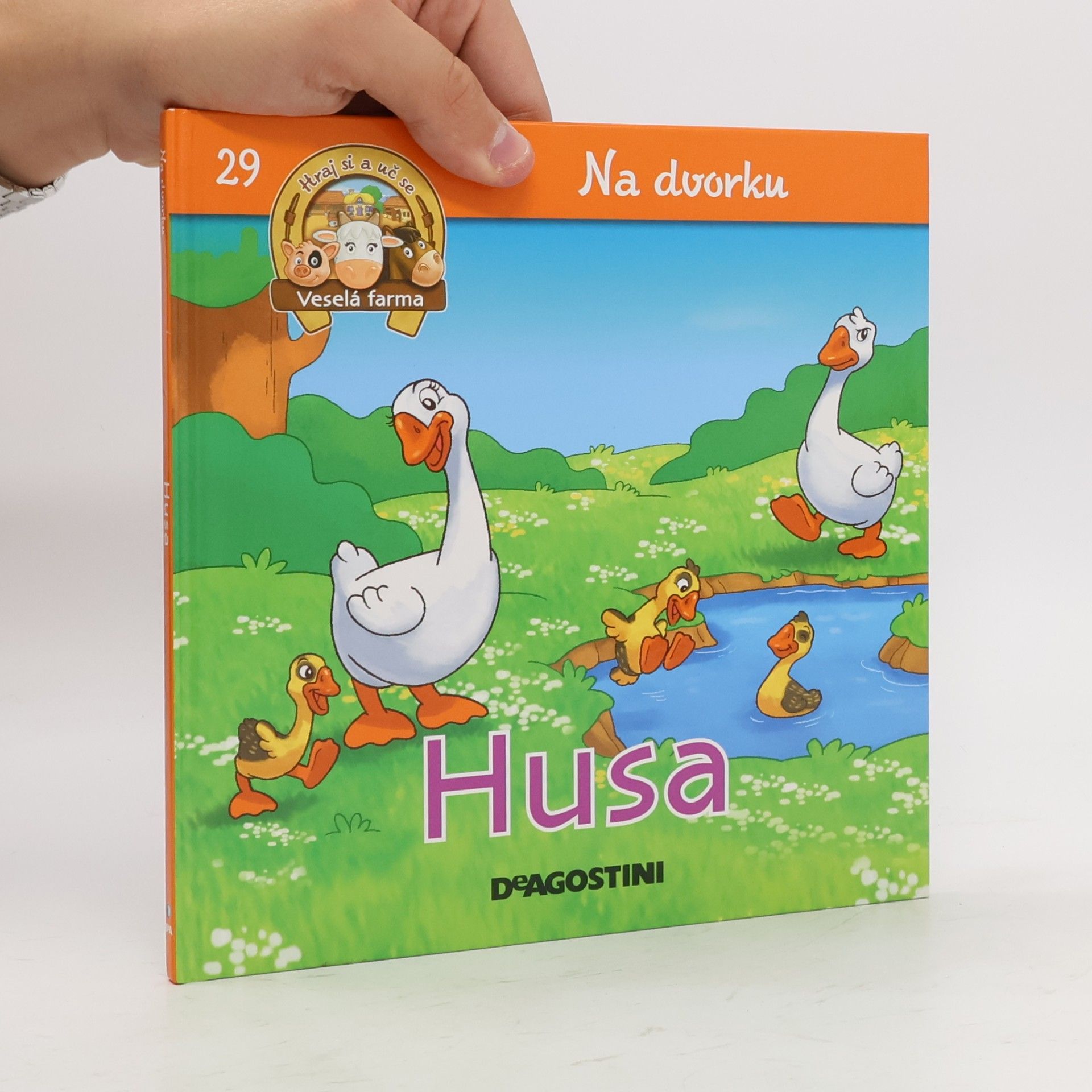 Kolektív autorov Na dvorku 29. Husa