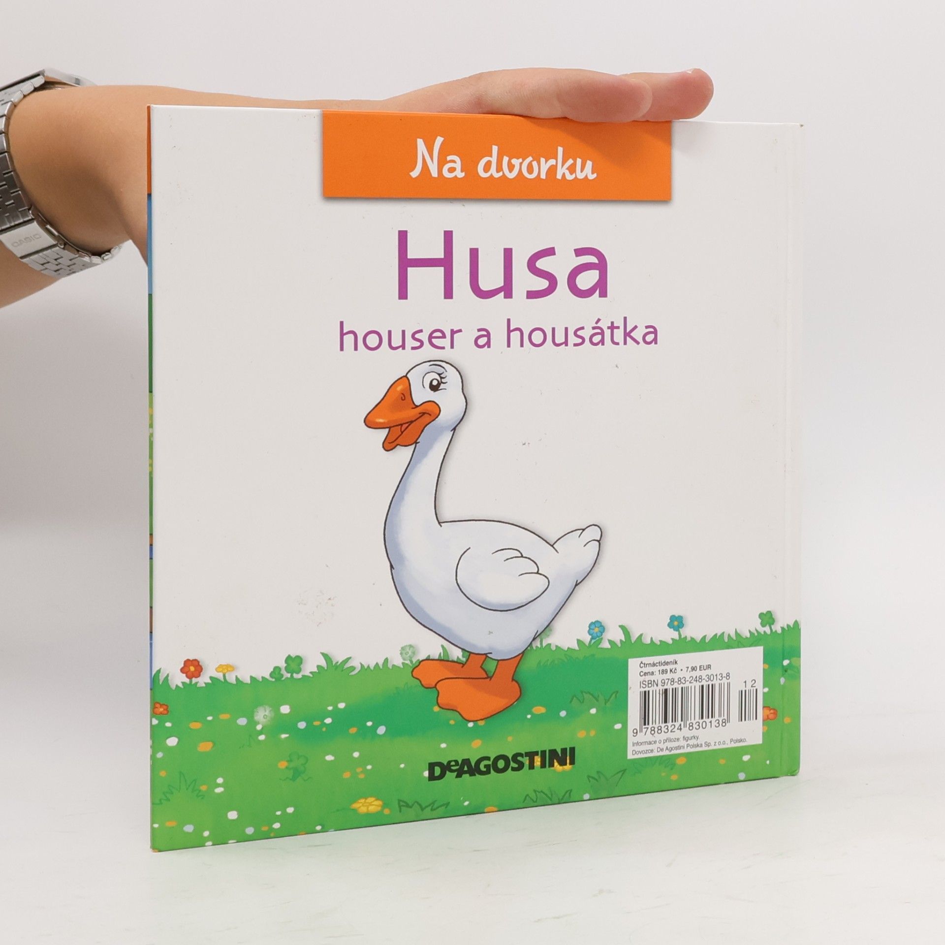 Various authors Na dvorku 29. Husa