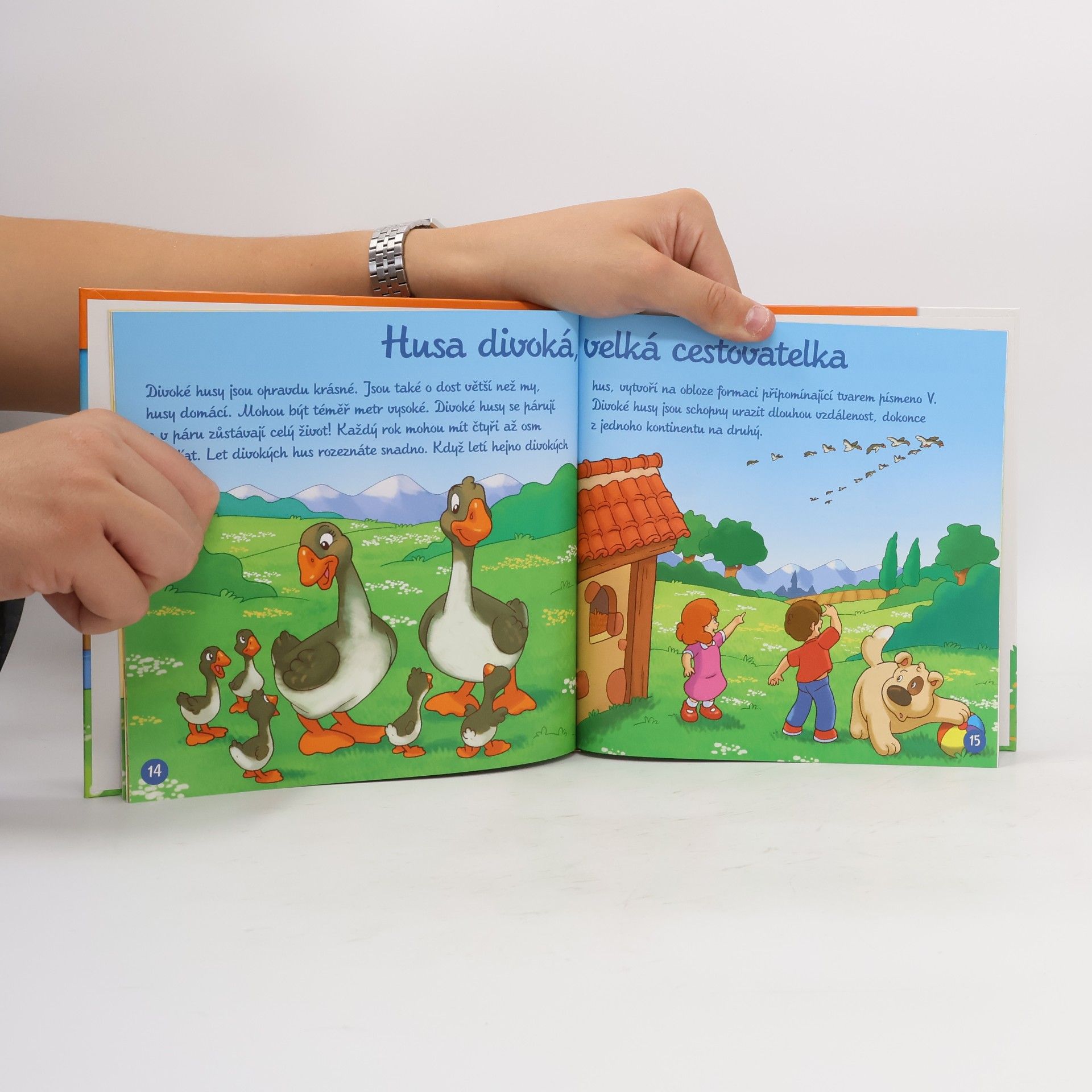 Various authors Na dvorku 29. Husa