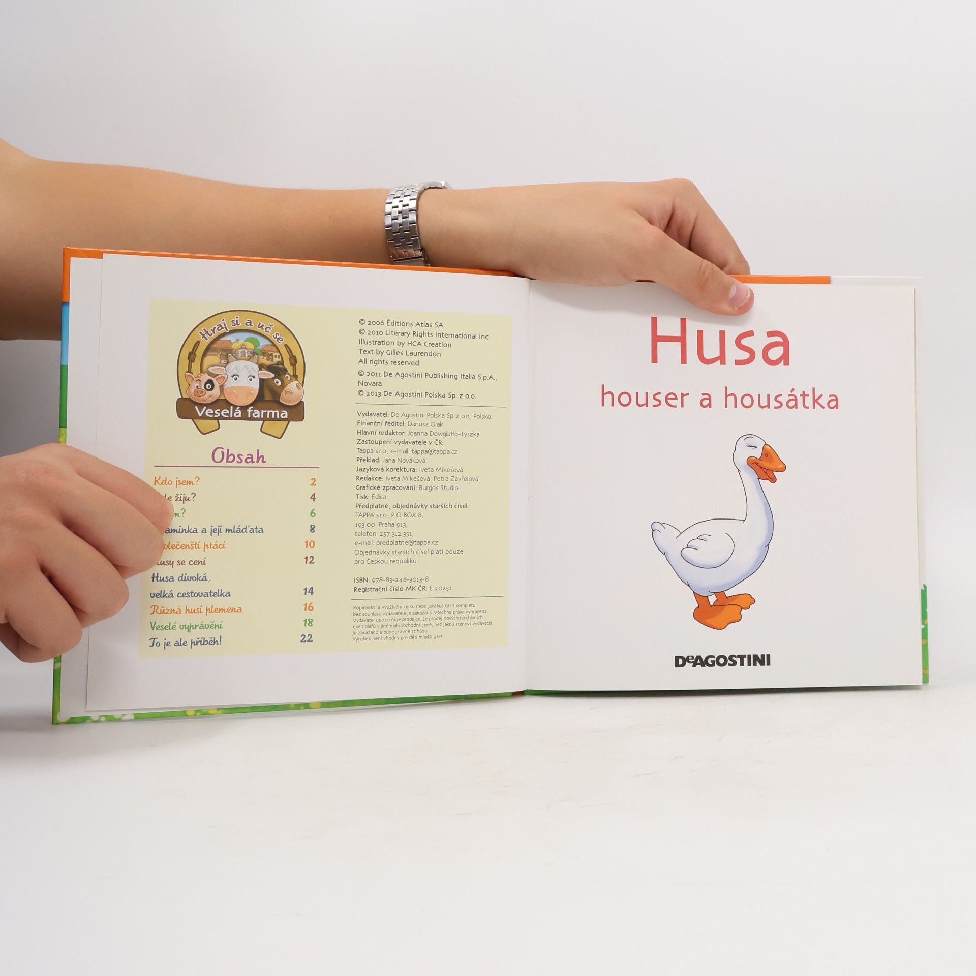 Various authors Na dvorku 29. Husa