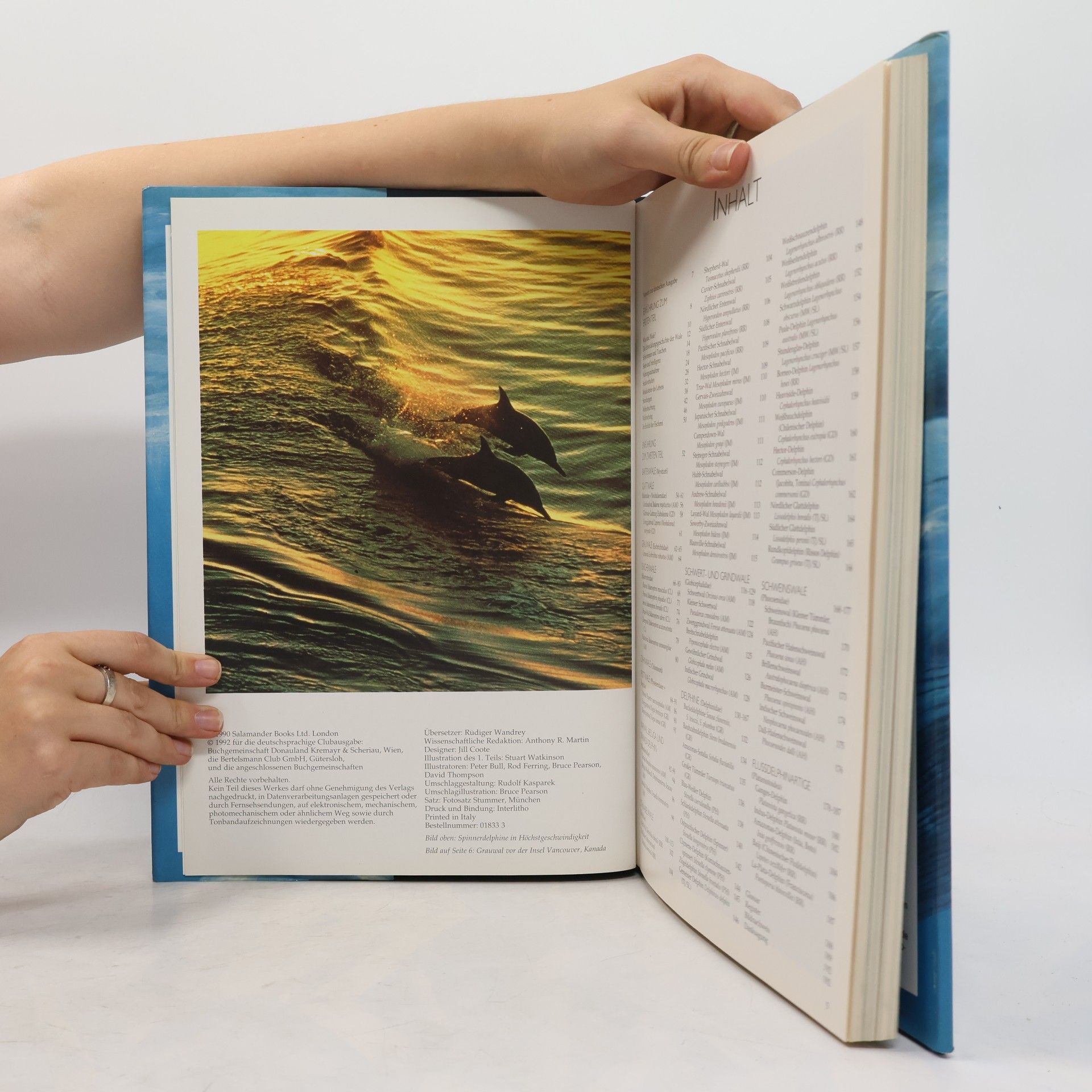Anthony R. Martin Das grosse Buch der Wale und Delphine