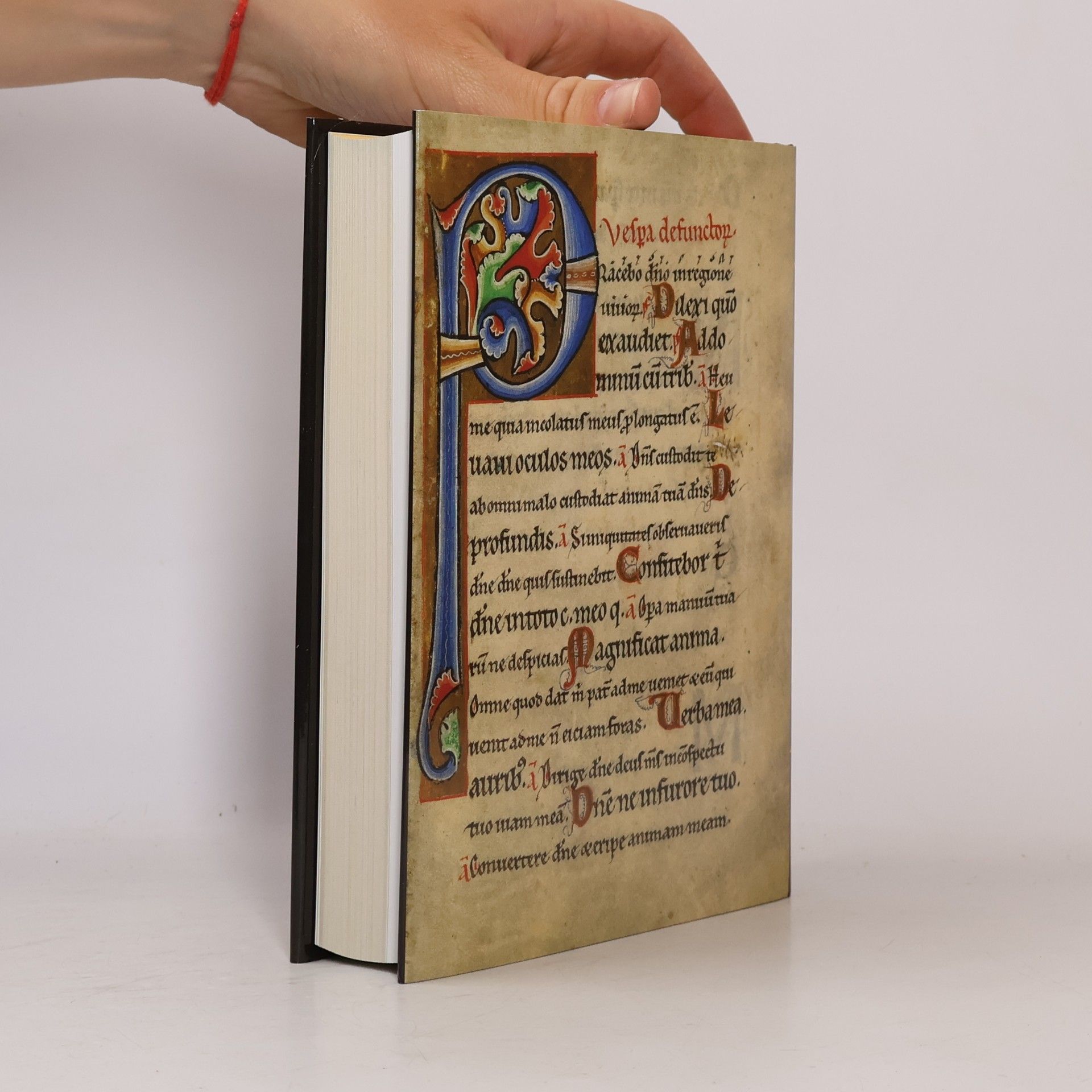 Felix Heinzer Glanzlichter der Buchkunst - 25: Der Landgrafenpsalter
