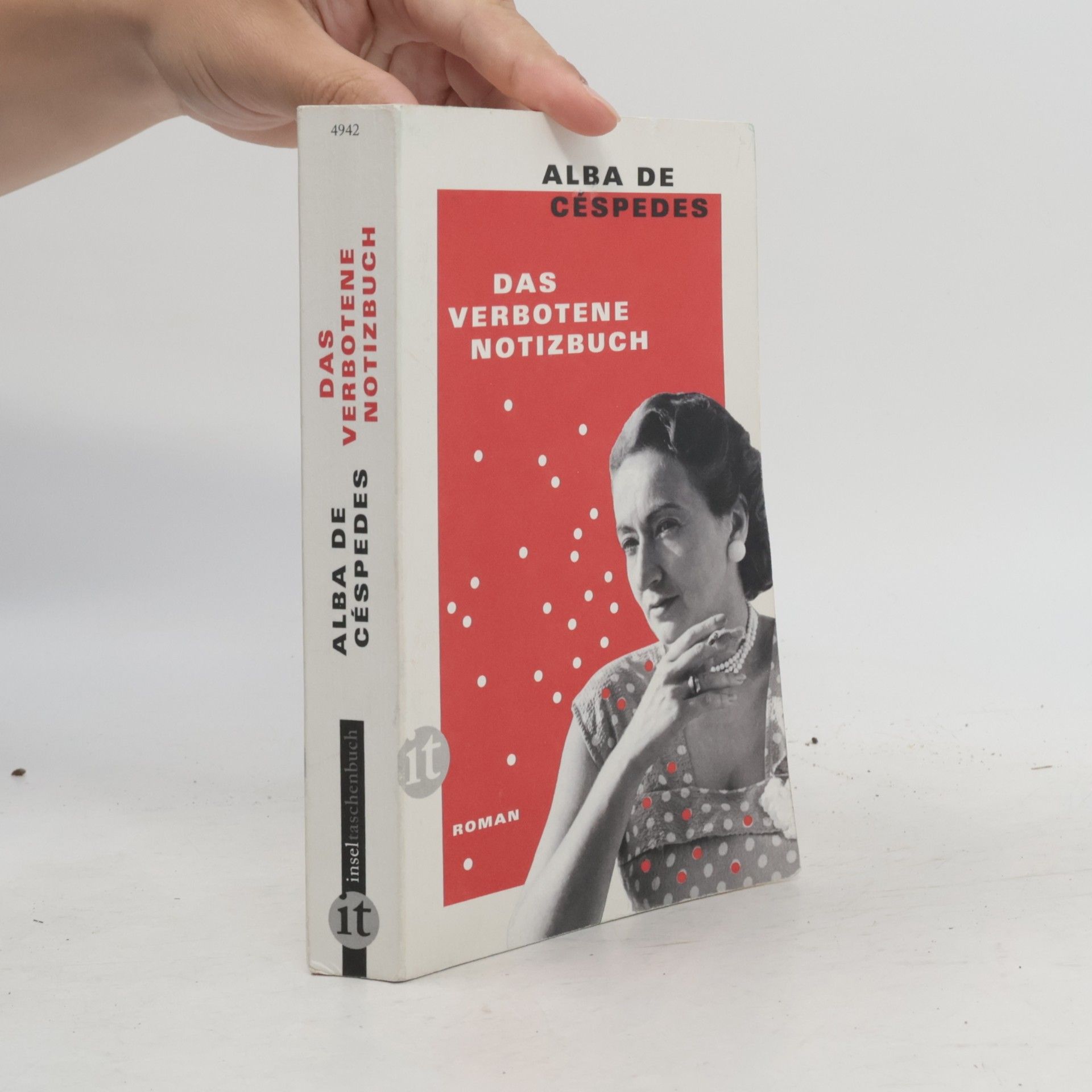 Alba de Céspedes Das verbotene Notizbuch