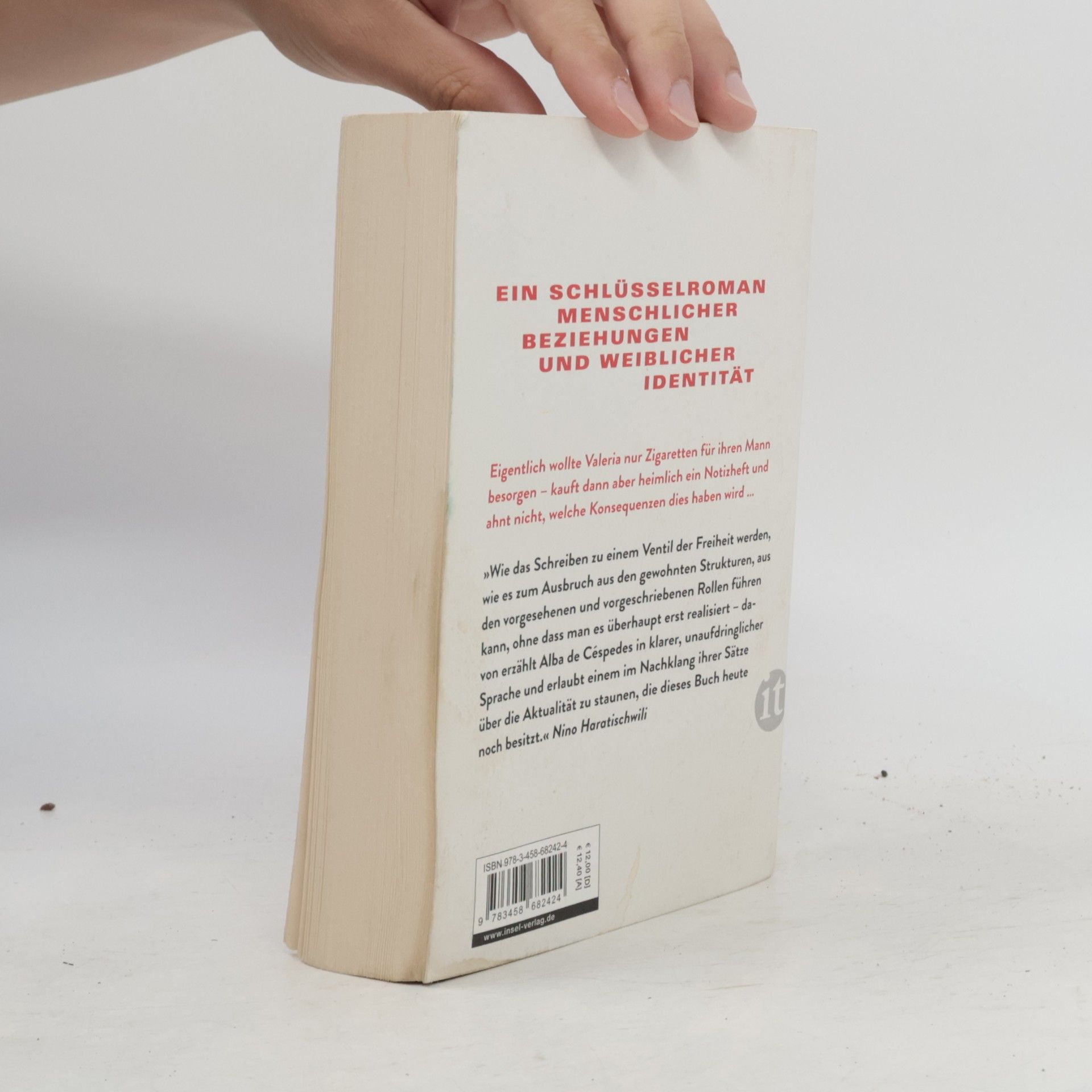 Alba de Céspedes Das verbotene Notizbuch