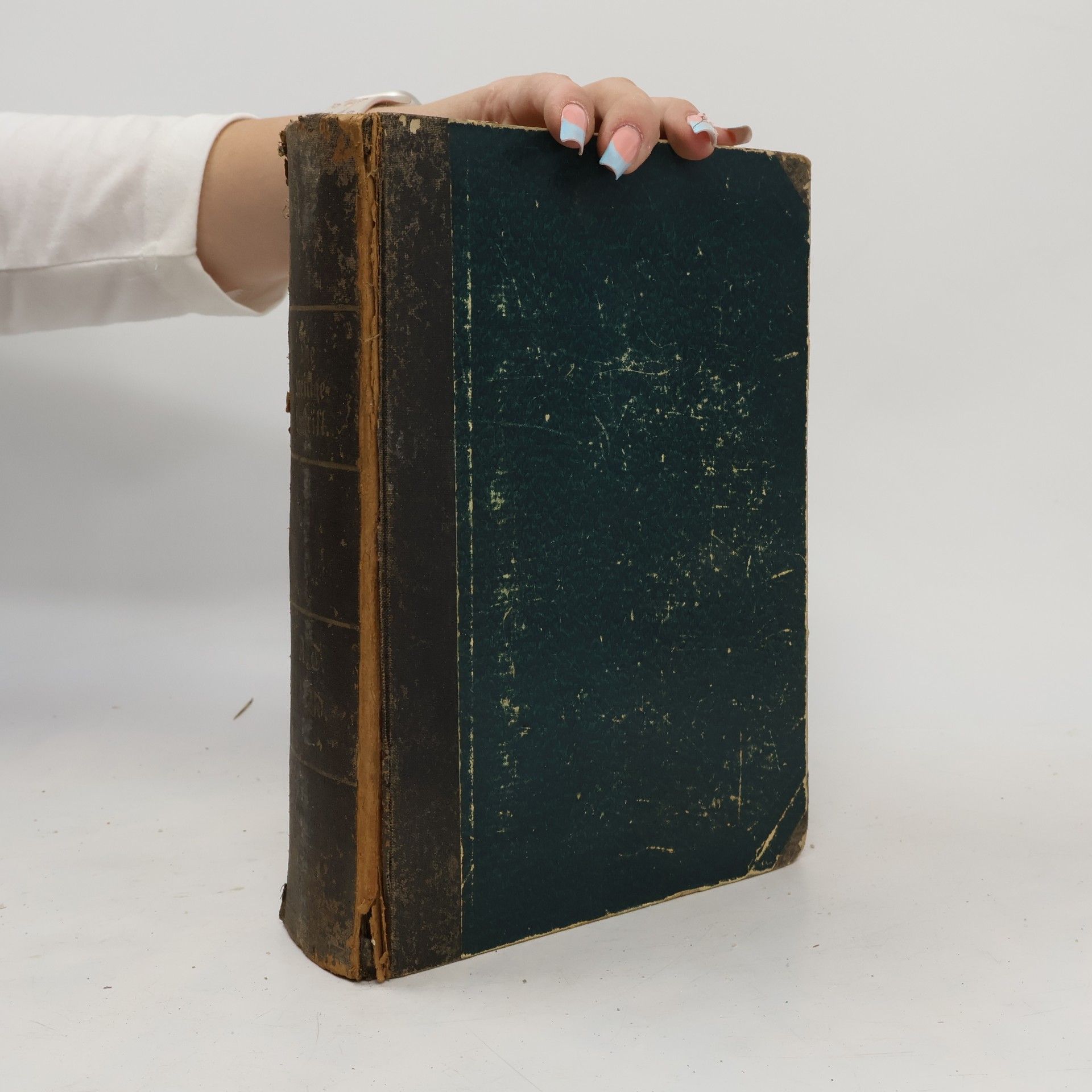 Die Bibel oder Die ganze heilige Schrift Alten und Neuen Testaments