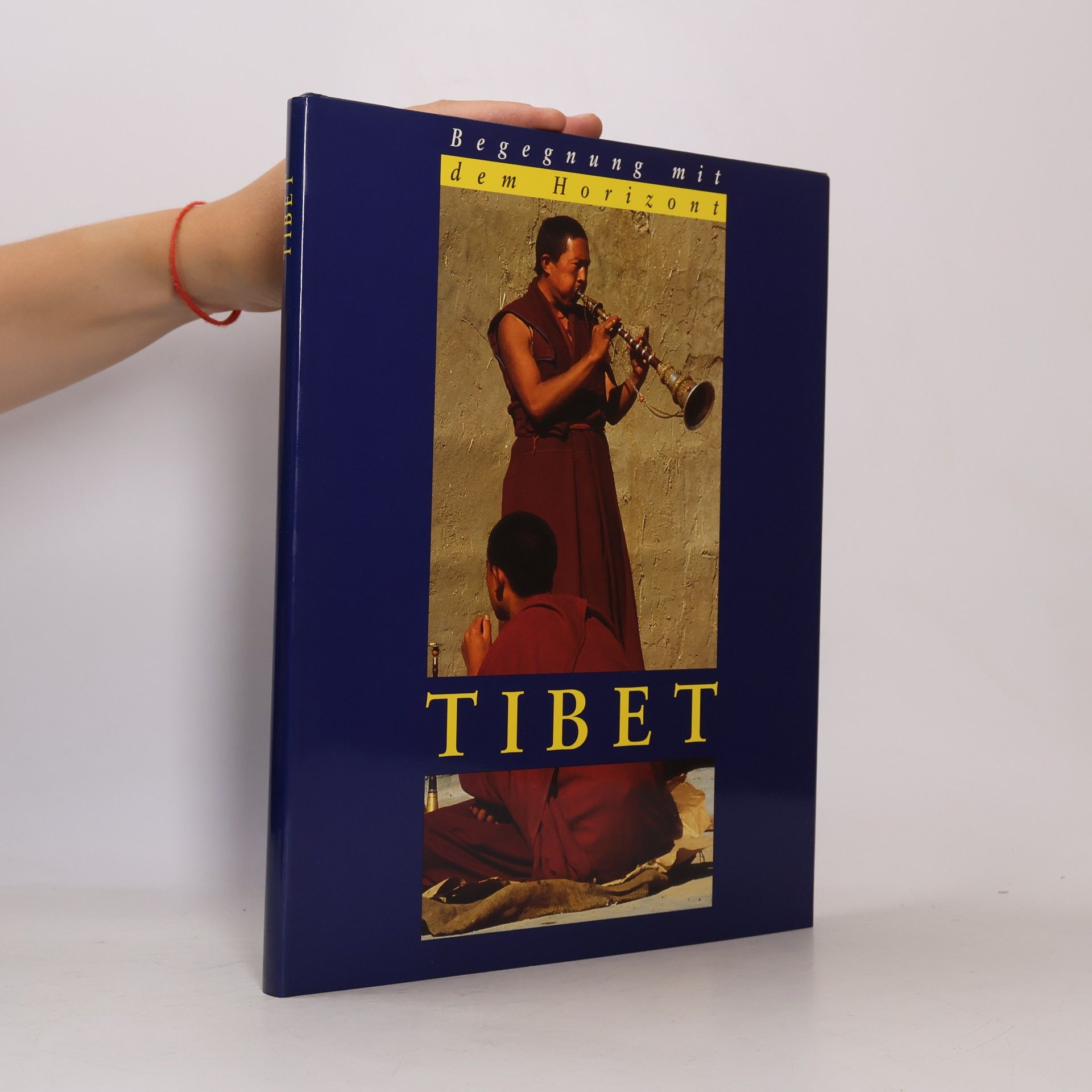 Collectif d'auteurs Begegnung mit dem Horizont: Tibet