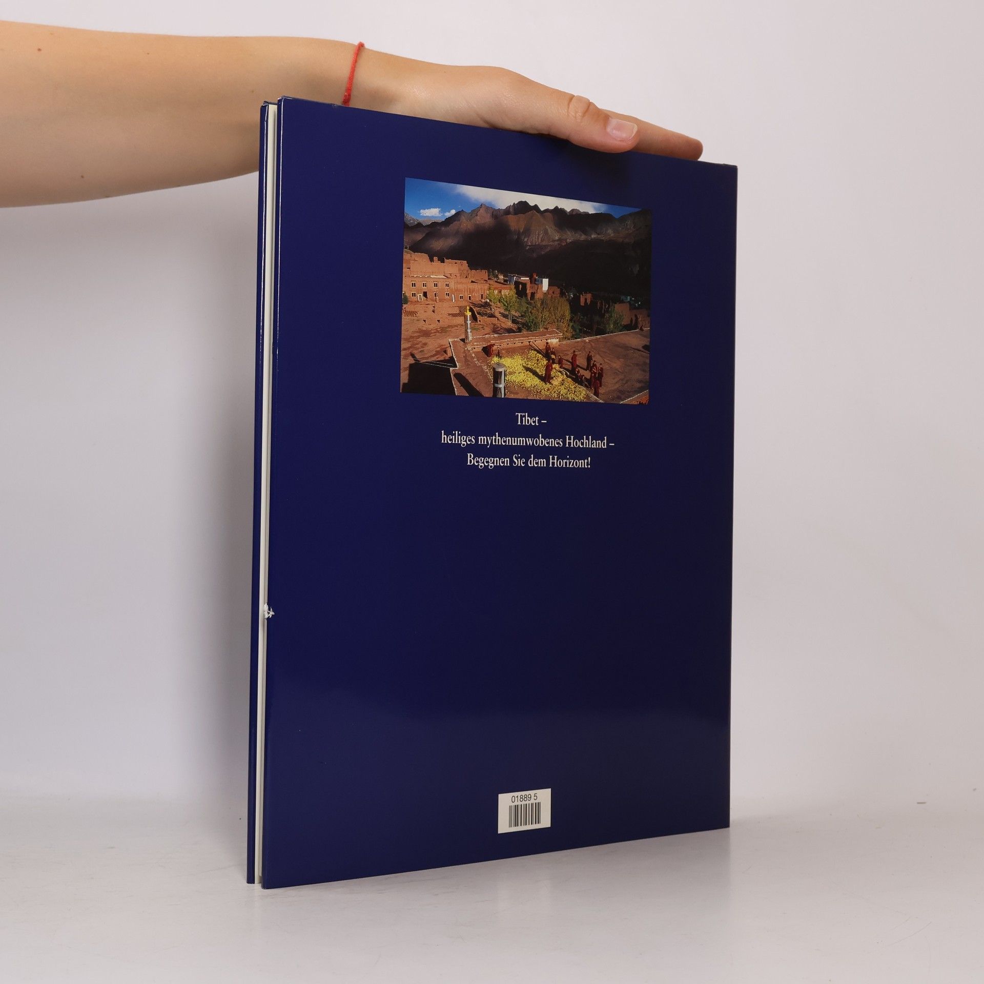 Kolektív autorov Begegnung mit dem Horizont: Tibet