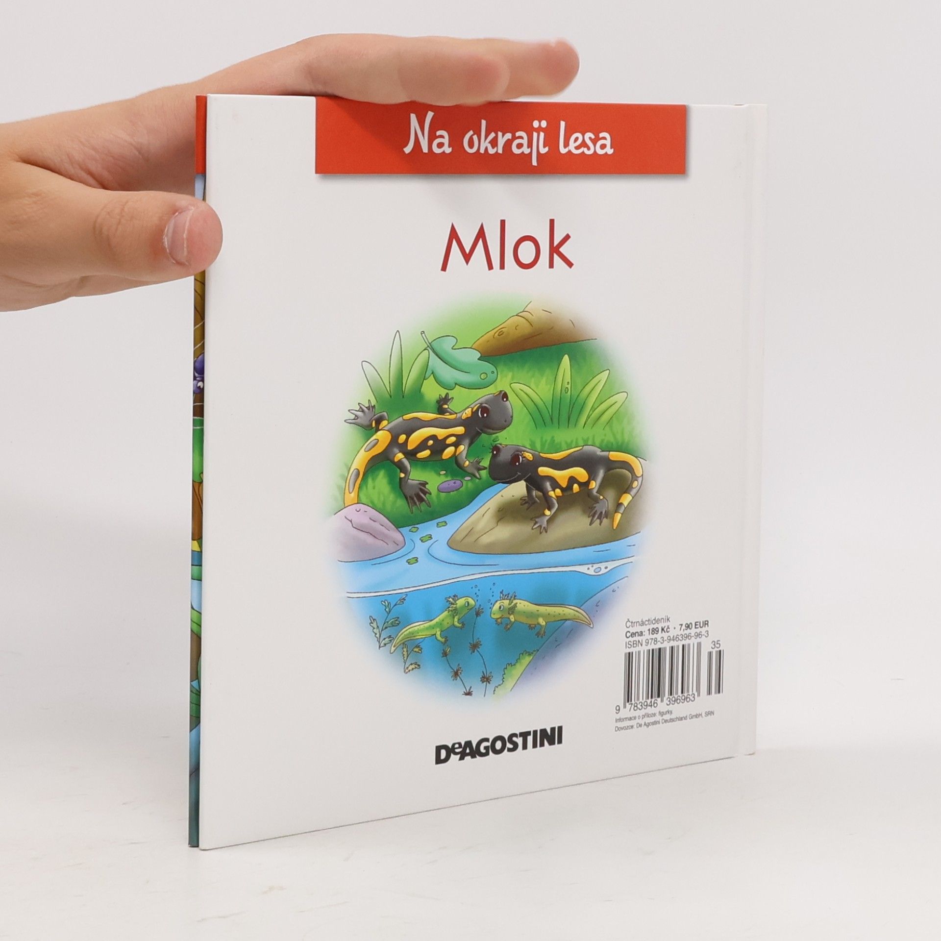 Kolektiv autorů Na okraji lesa 53. Mlok