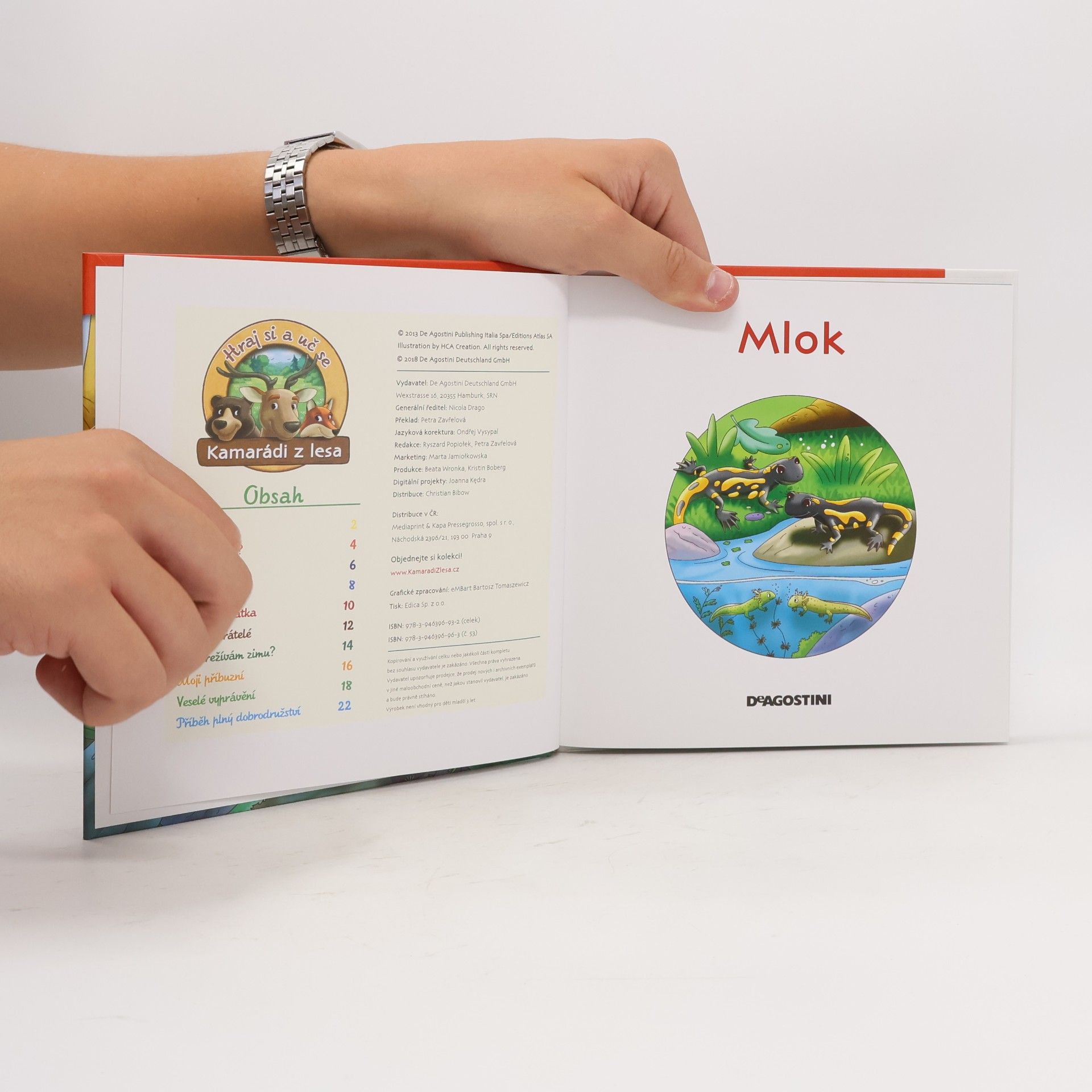 Kolektiv autorů Na okraji lesa 53. Mlok