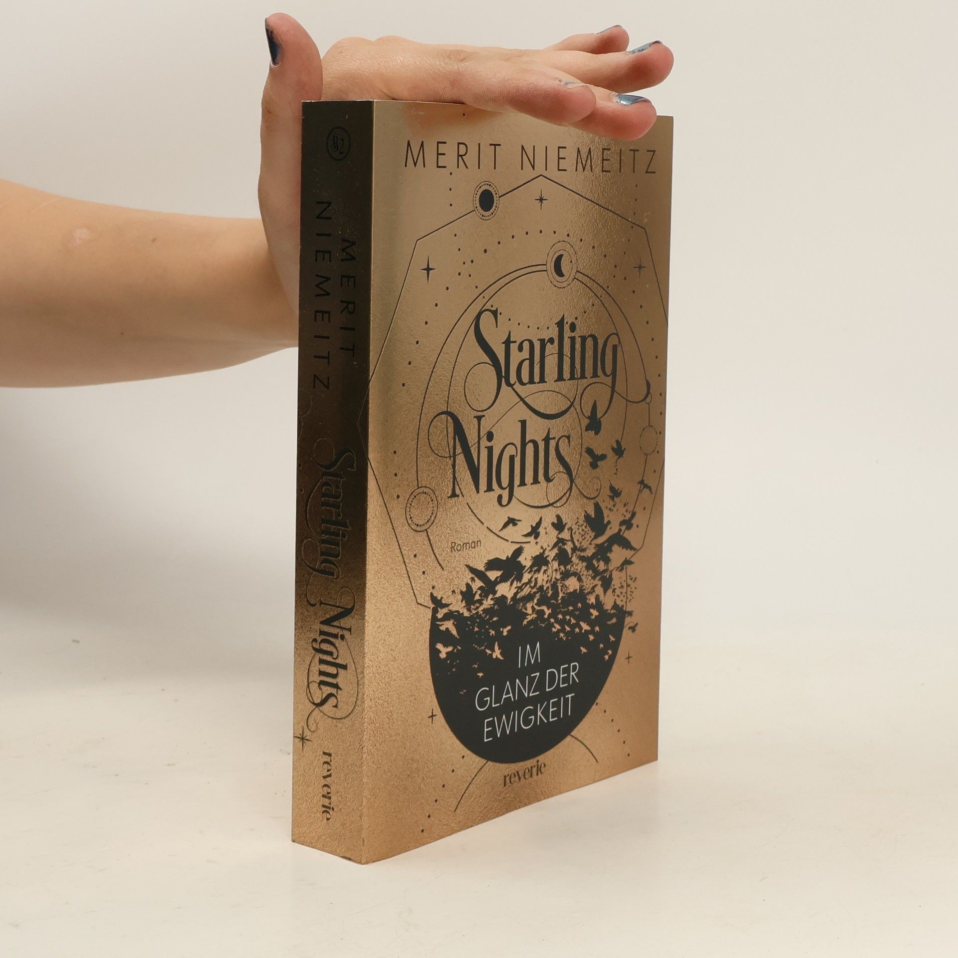 Starling Nights 2