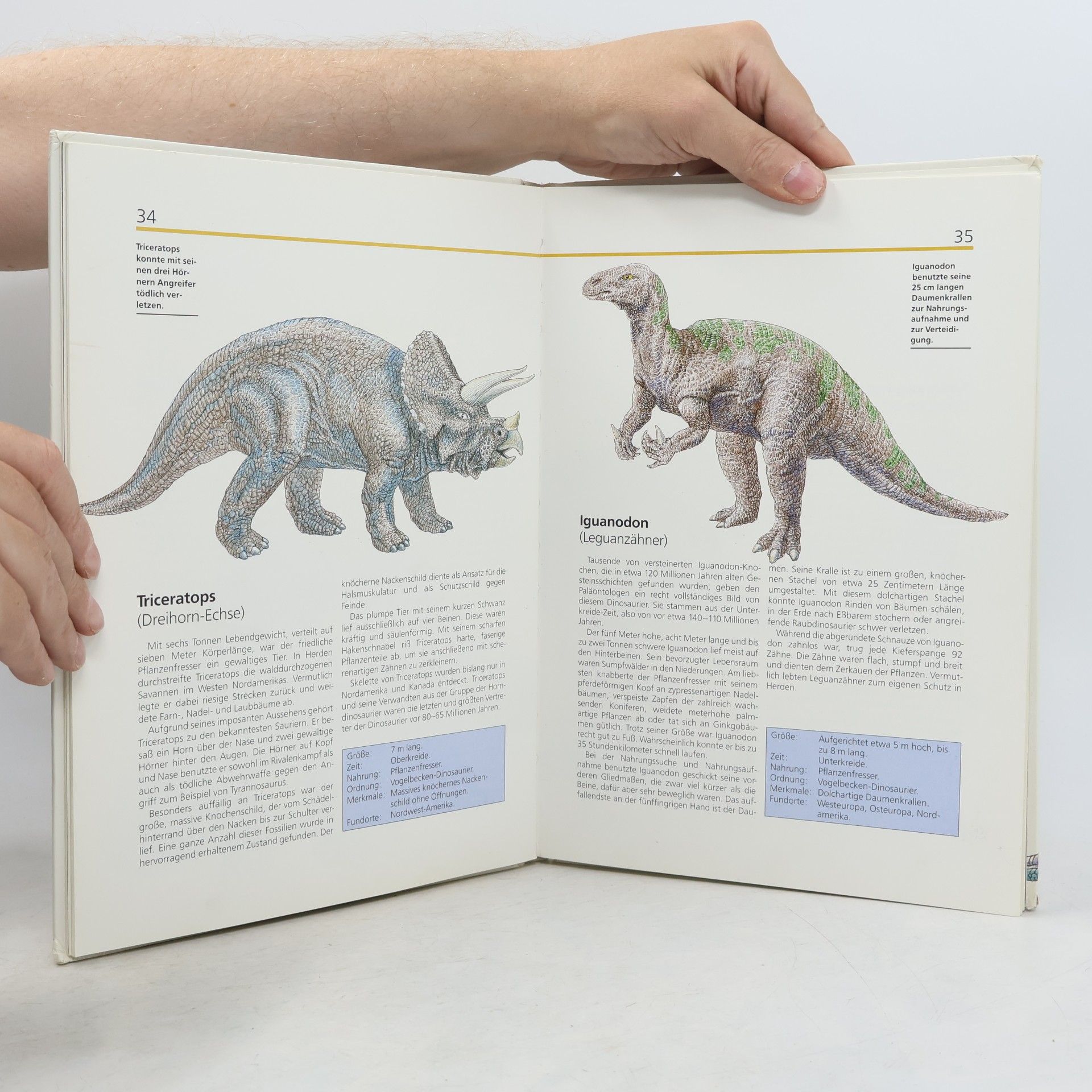 Klaus Peter Creamer Das Kosmosbuch der Dinosaurier
