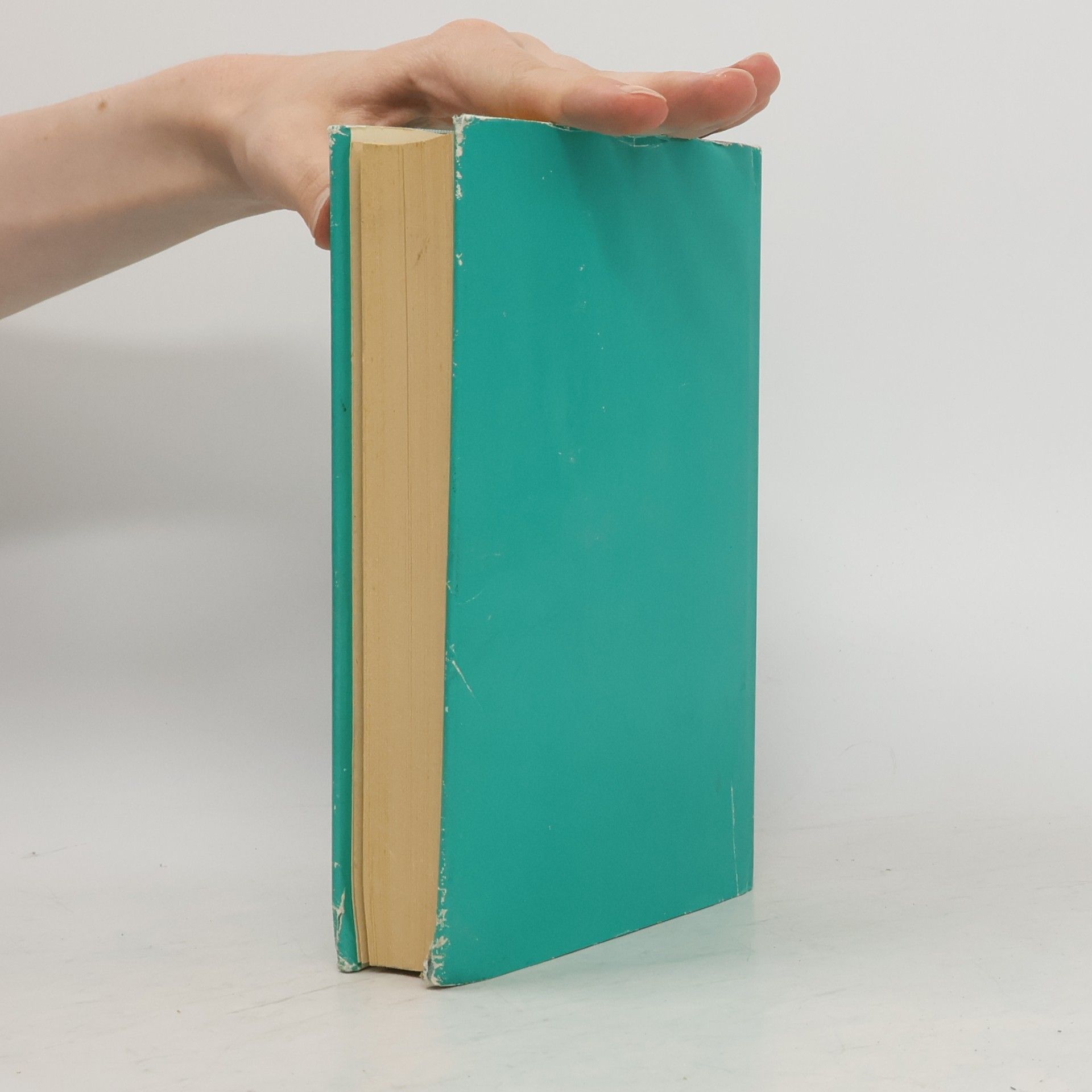 Autores varios Die Jadegöttin. Zwölf Geschichten aus dem mittelalterlichen China