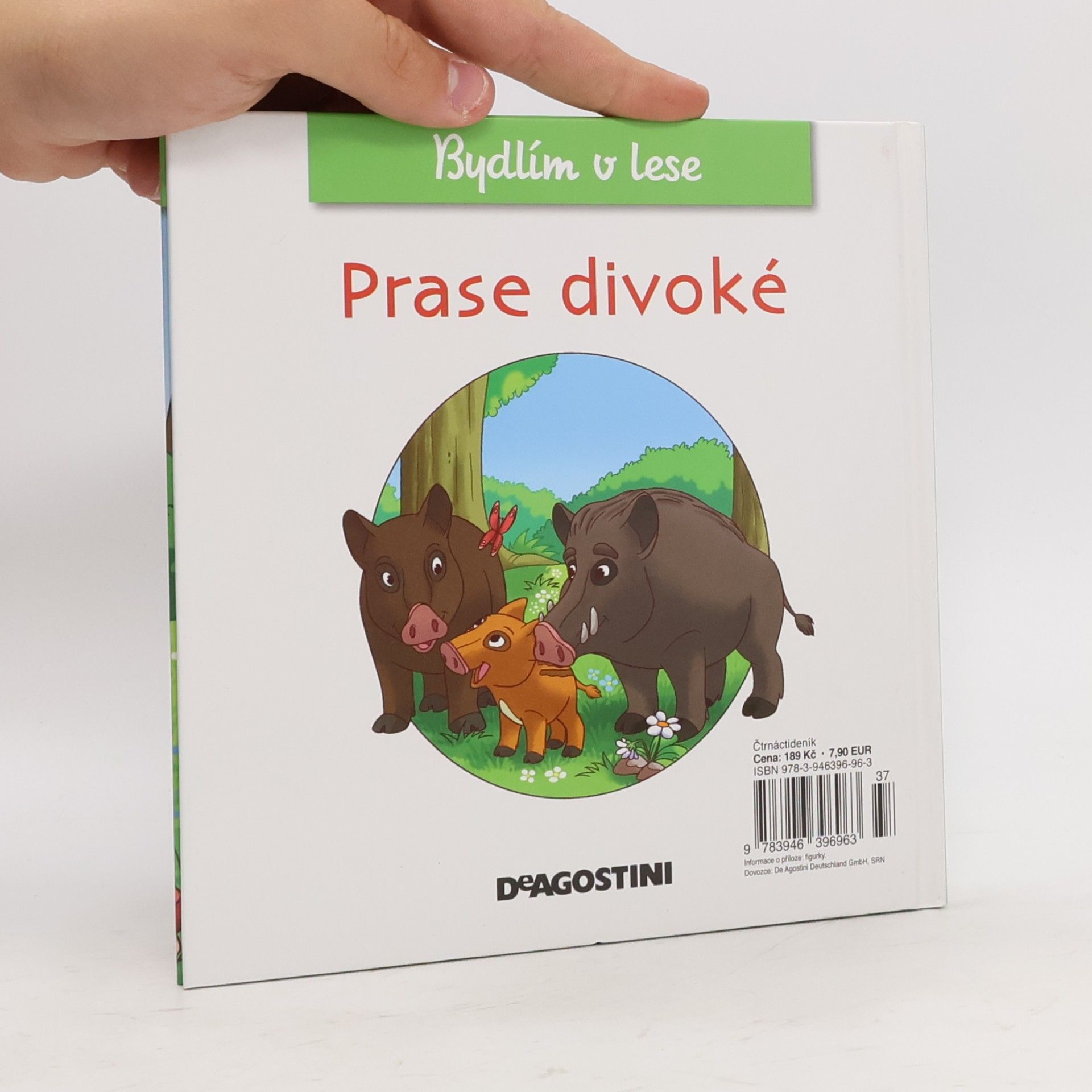 Autorenkollektiv Bydlím v lese 28. Prase divoké