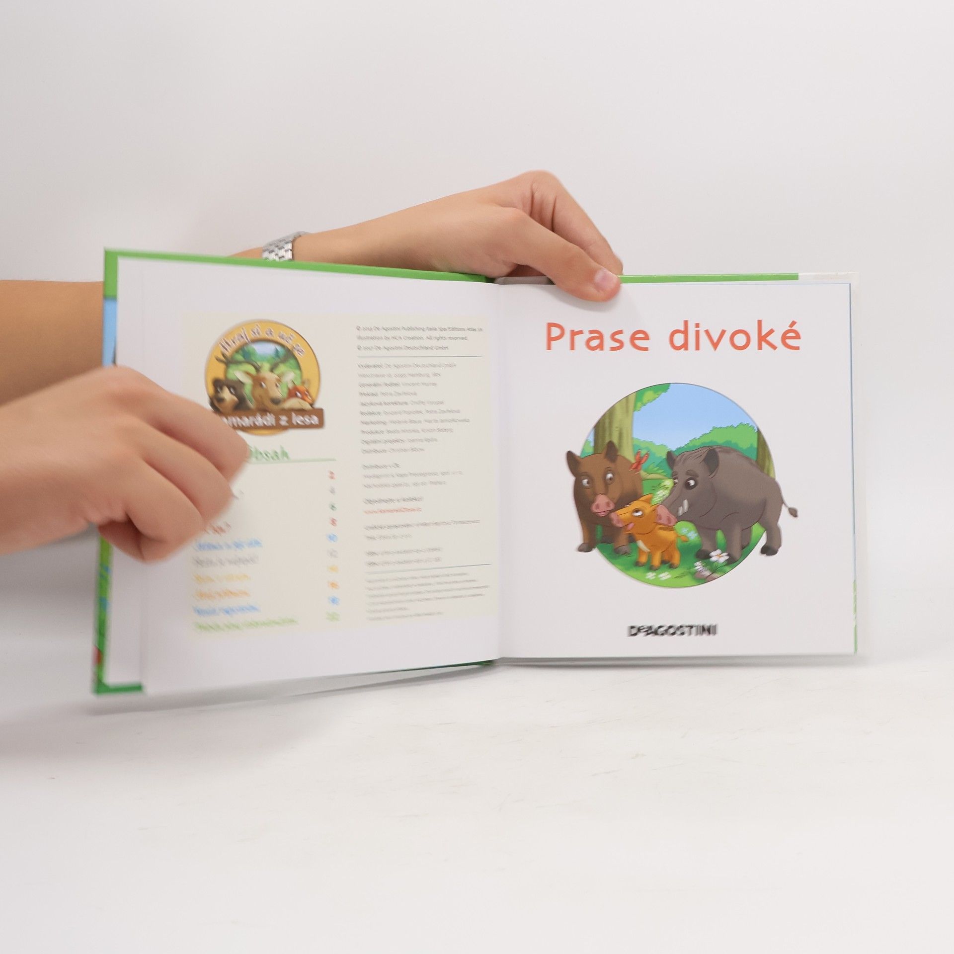 Autorenkollektiv Bydlím v lese 28. Prase divoké
