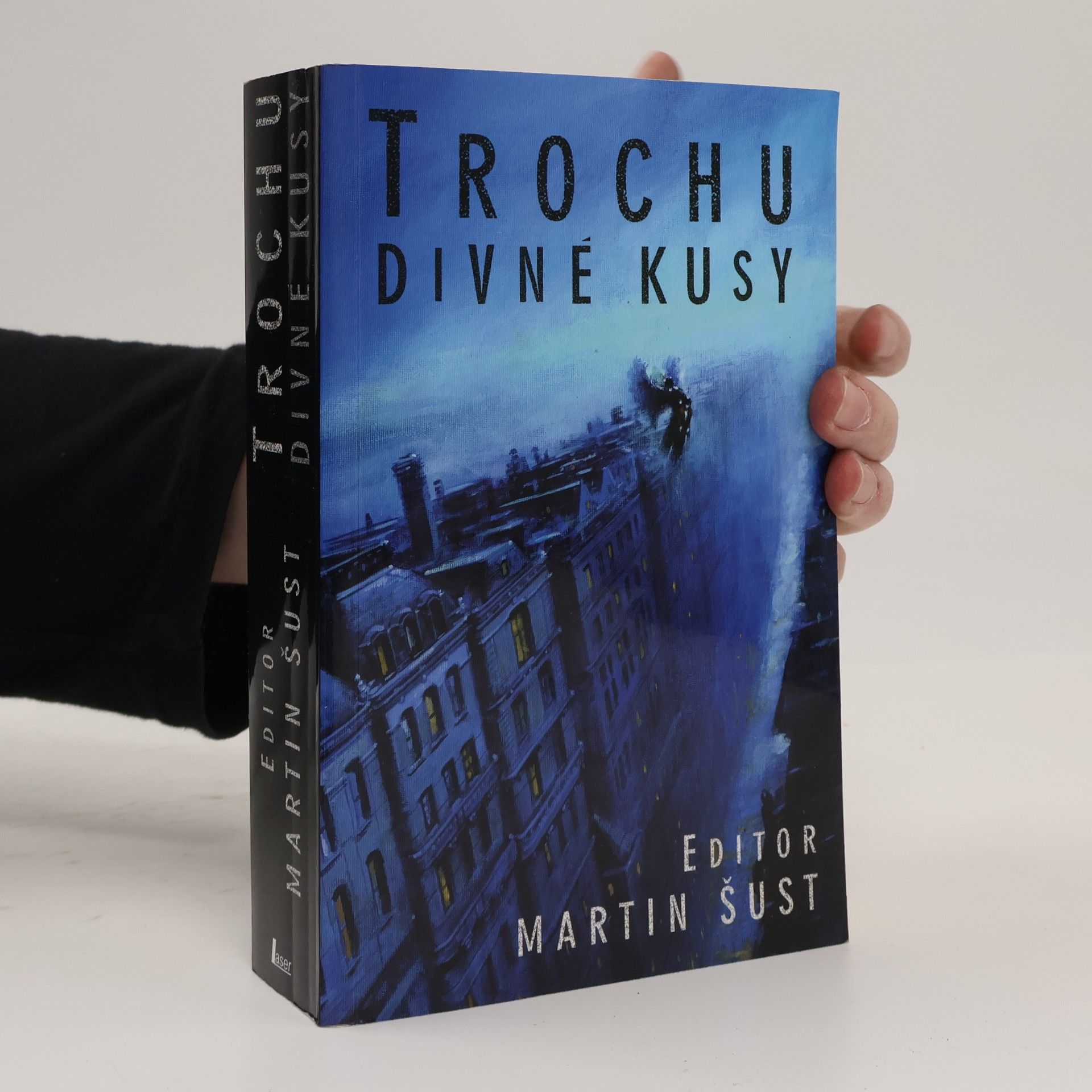 Martin Šust Trochu divné kusy