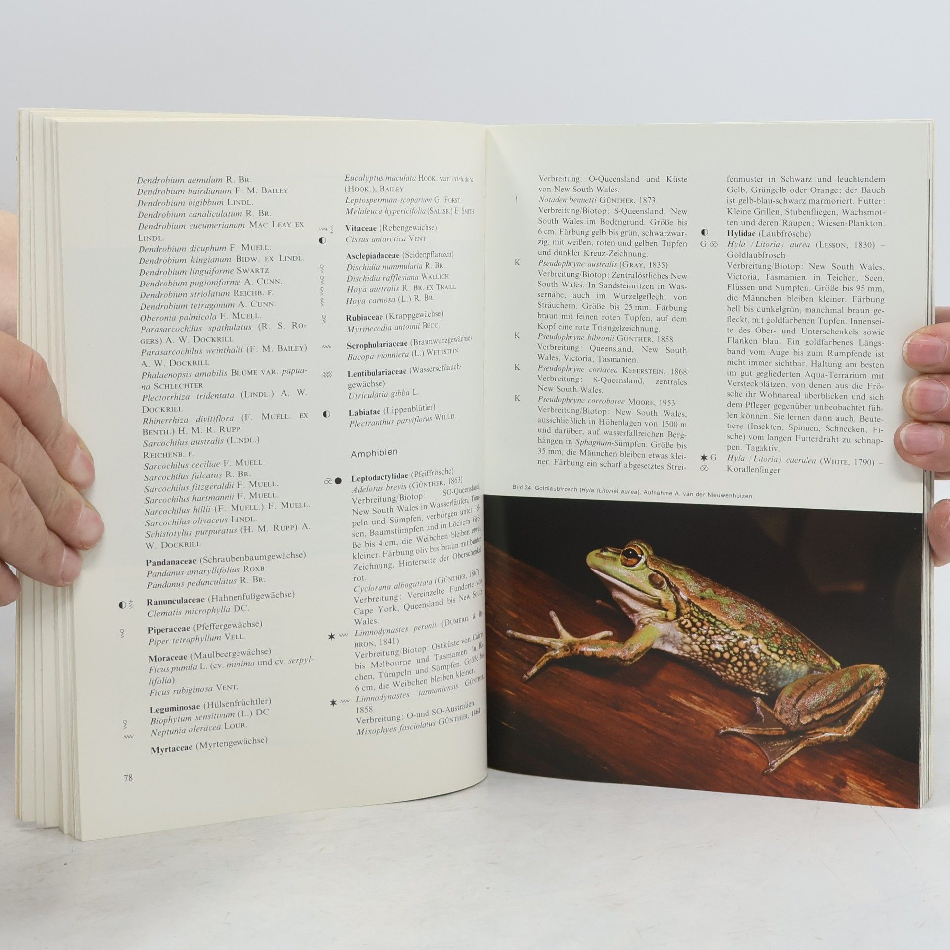 Paul Heinrich Stettler Handbuch der Terrarienkunde