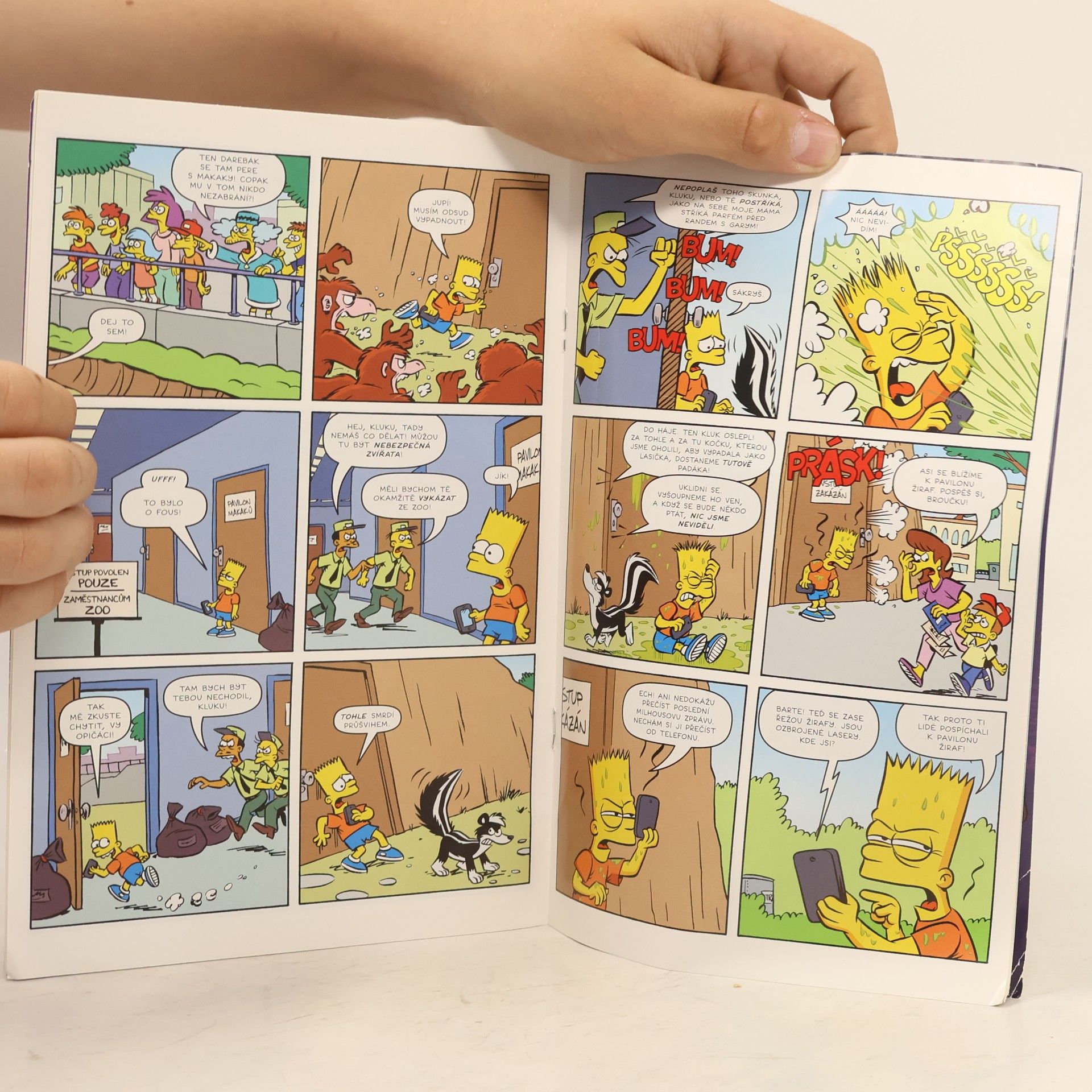 Autorenkollektiv Bart Simpson 5/2021