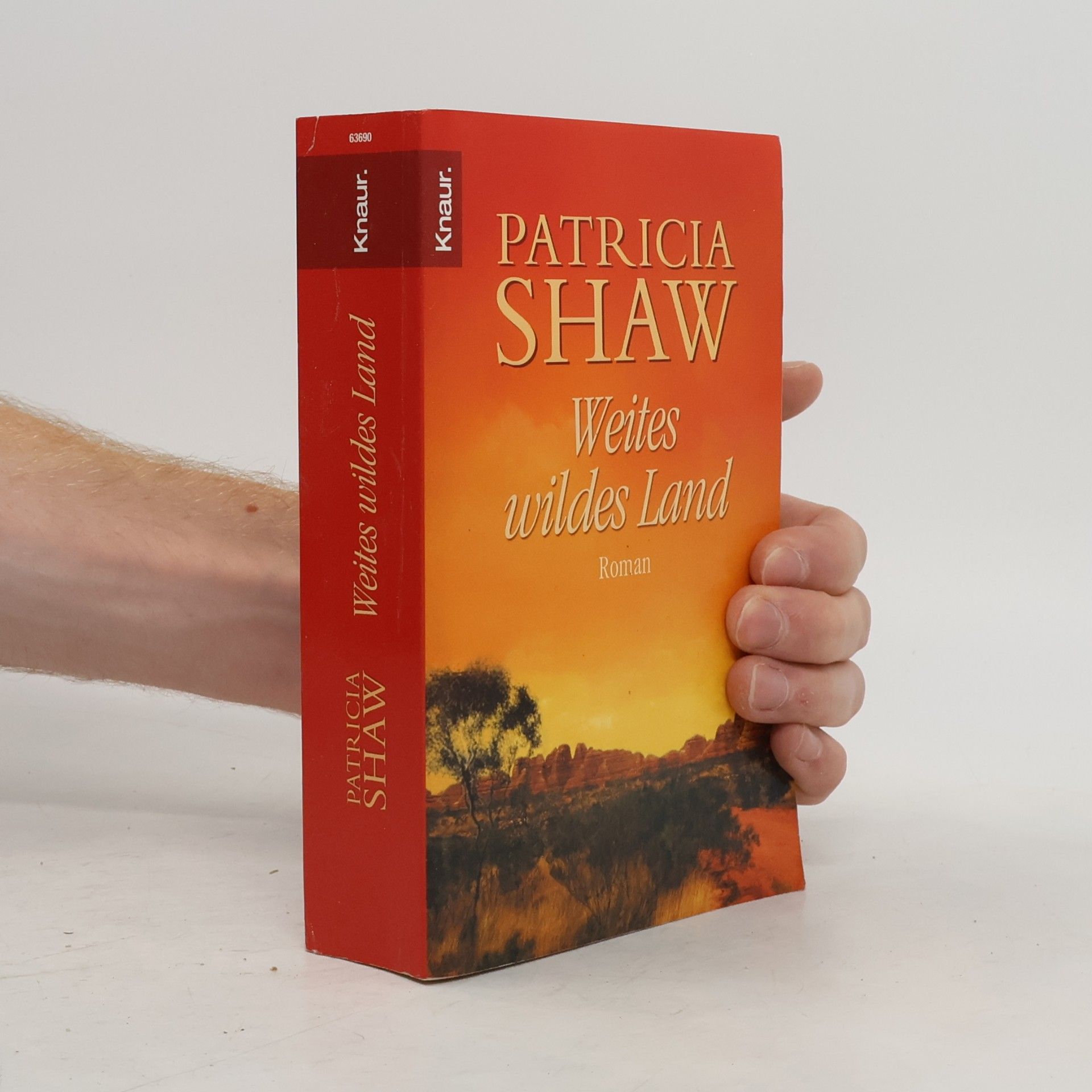 Patricia Shaw Weites wildes Land