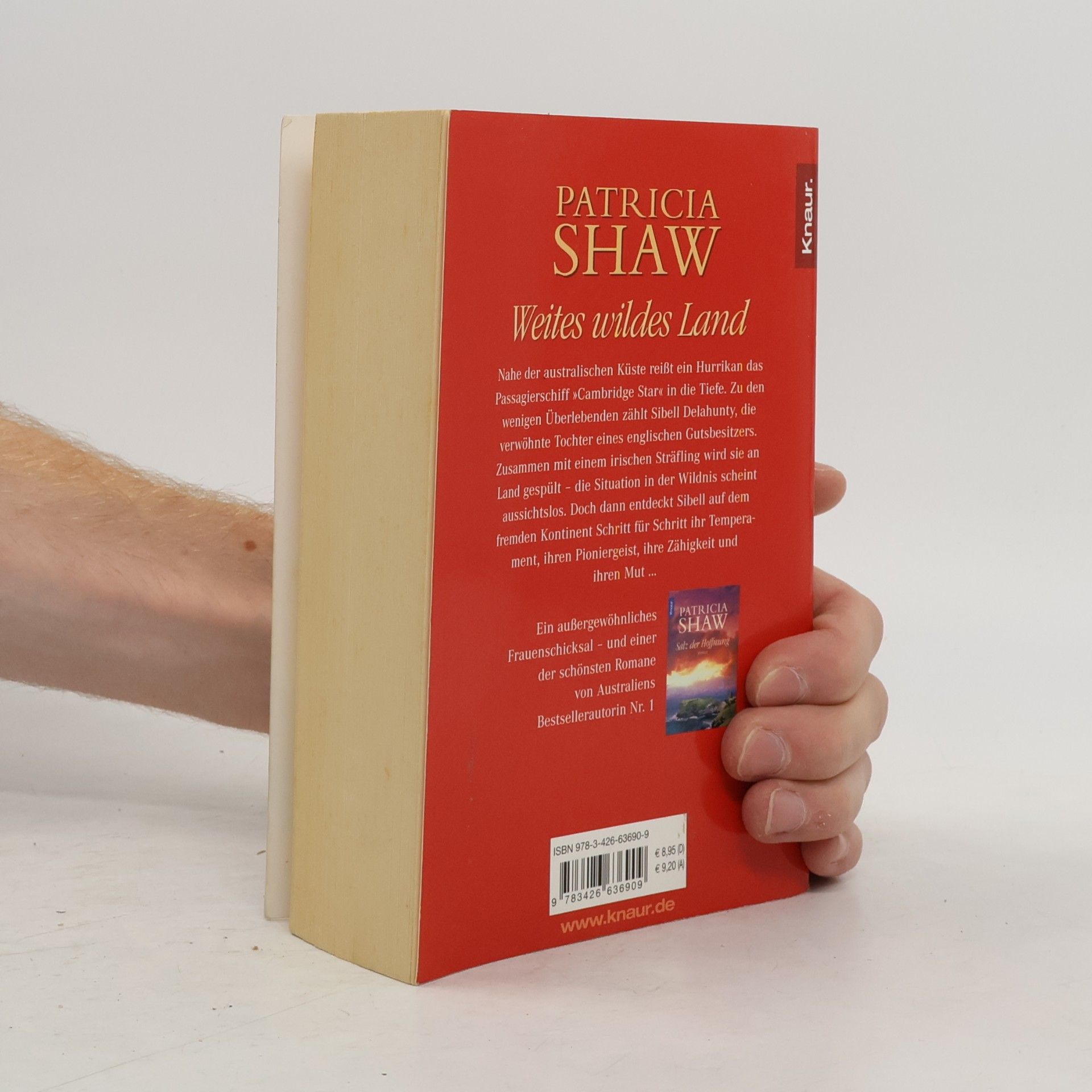 Patricia Shaw Weites wildes Land