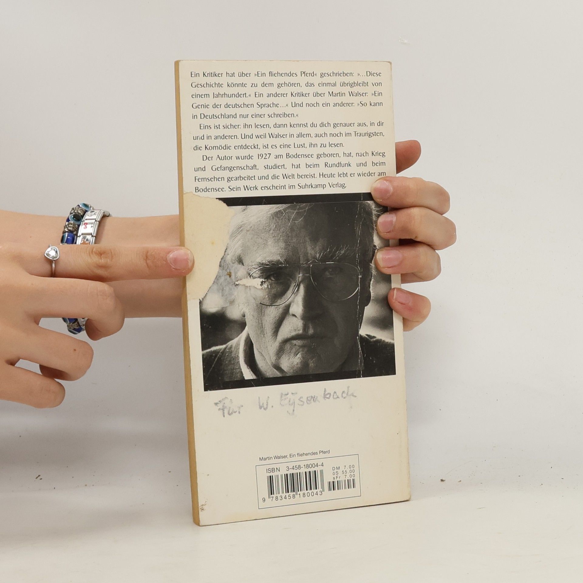 Martin Walser Ein fliehendes Pferd