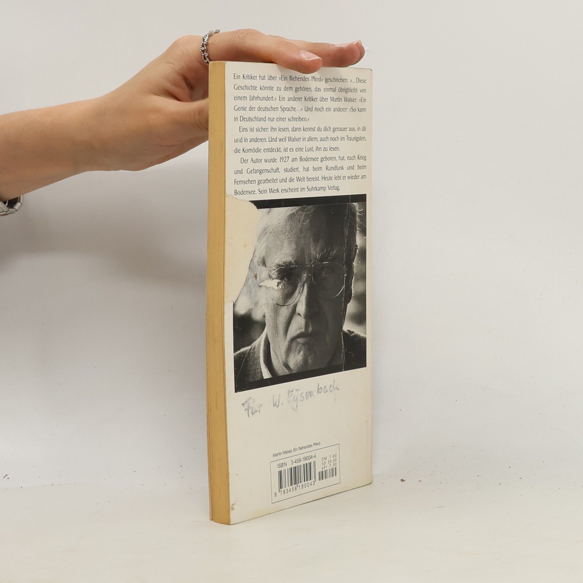 Martin Walser Ein fliehendes Pferd