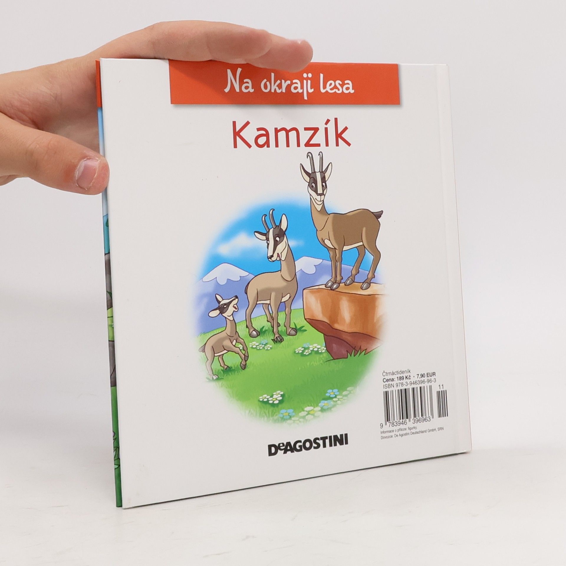 Kolektiv autorů Na okraji lesa 41. Kamzík