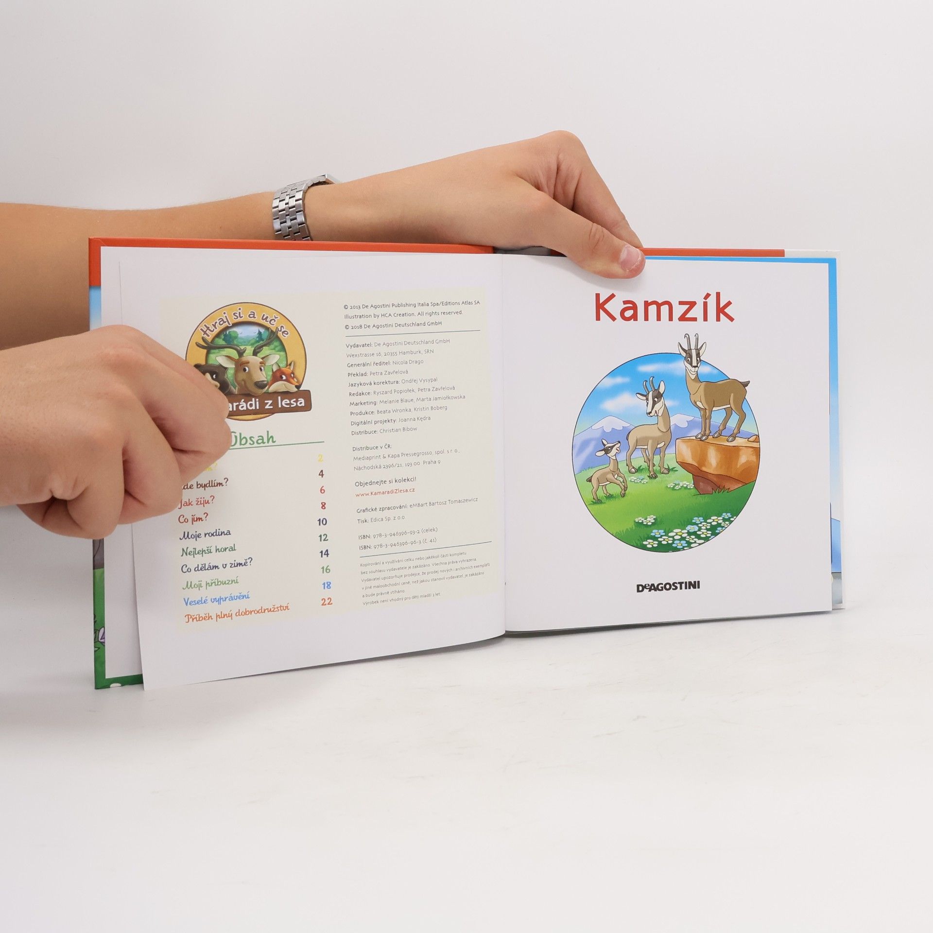 Kolektiv autorů Na okraji lesa 41. Kamzík