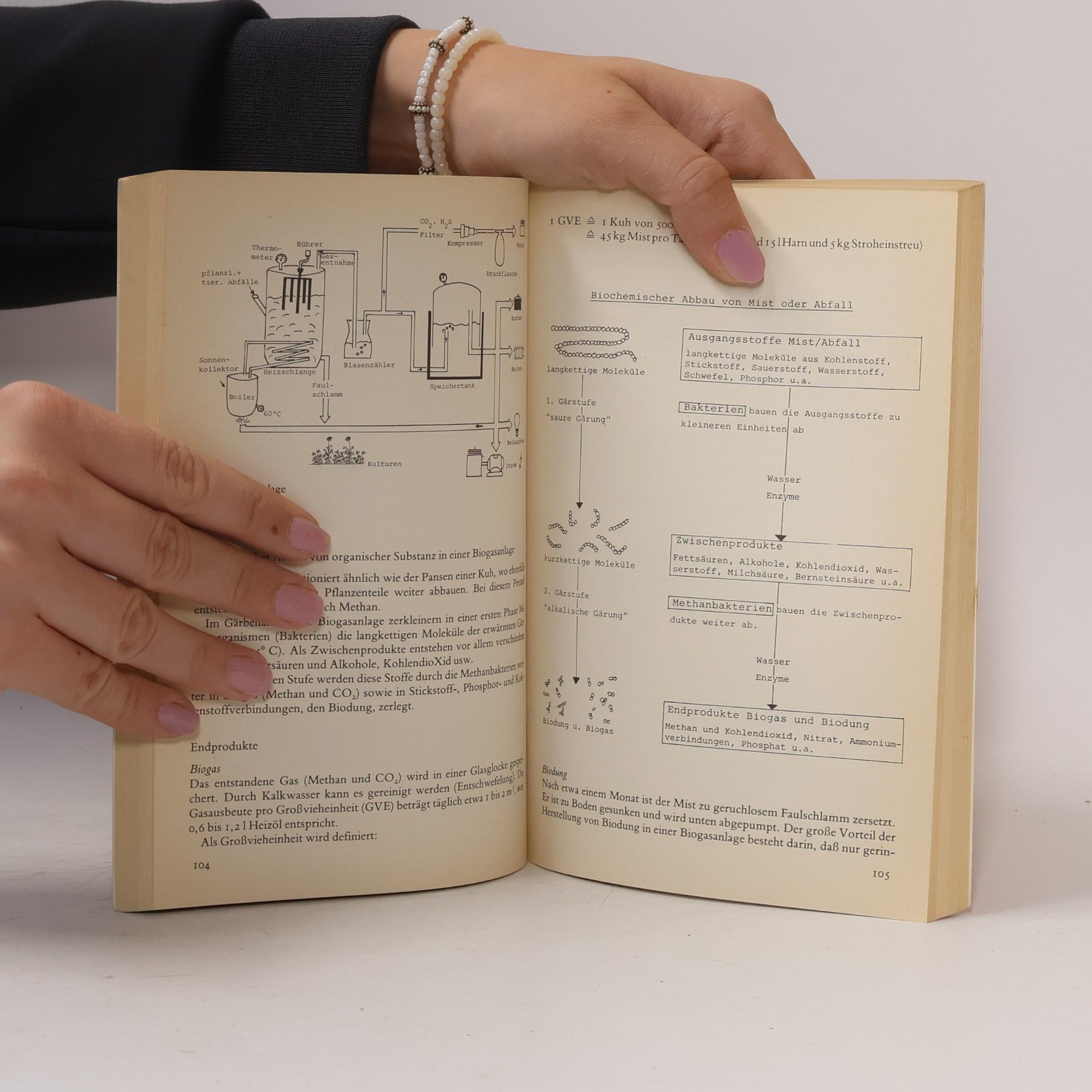 Barbara Ruske Das sanfte Energie-Handbuch