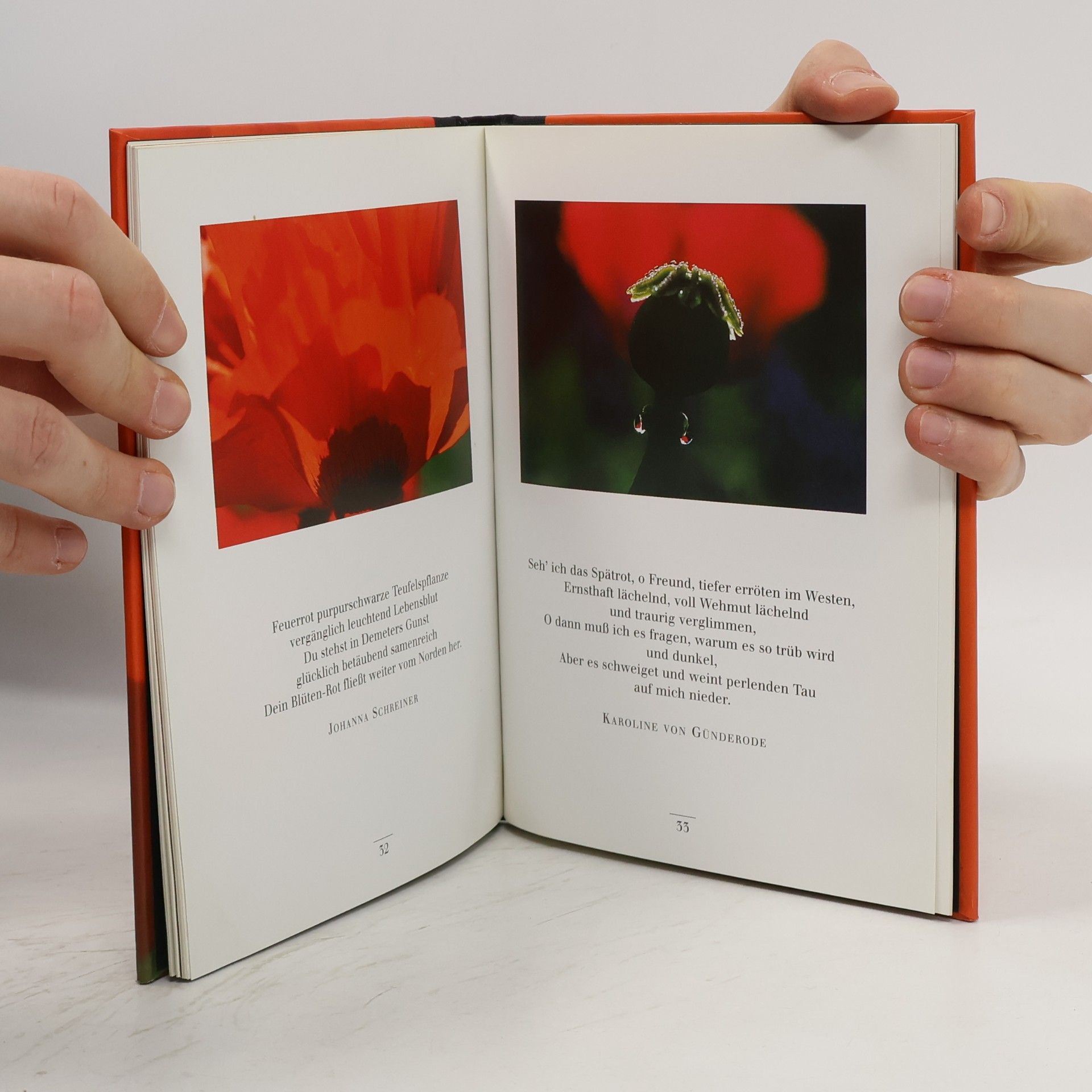 Johanna Schreiner Die Liebe ist leidenschaftlich