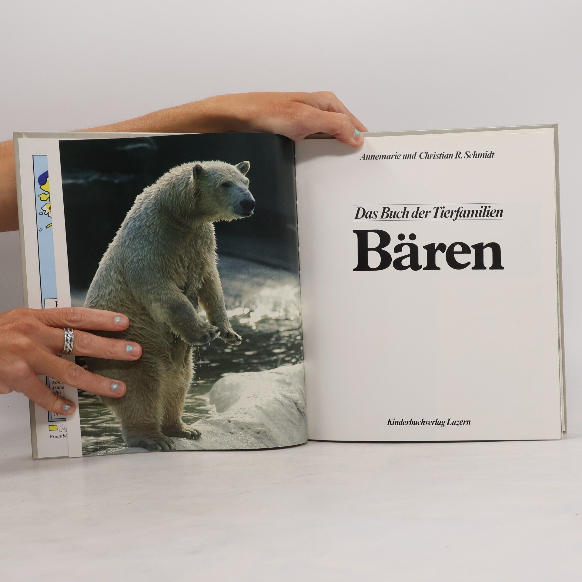 Autorenkollektiv Das Buch der Tierfamilien 1. Bären