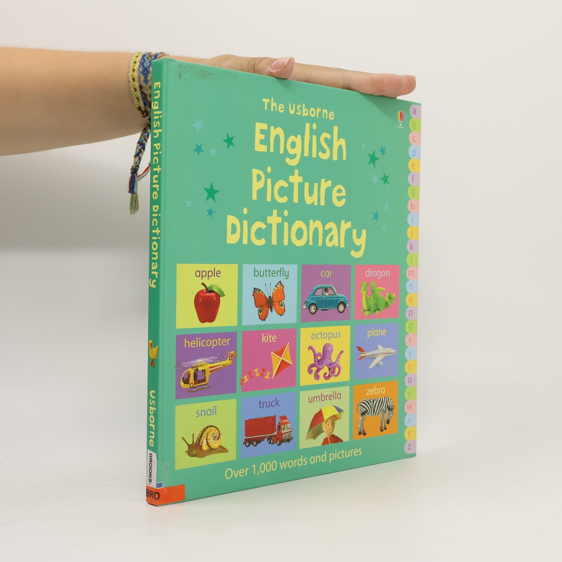 Felicity Brooks English Picture Dictionary