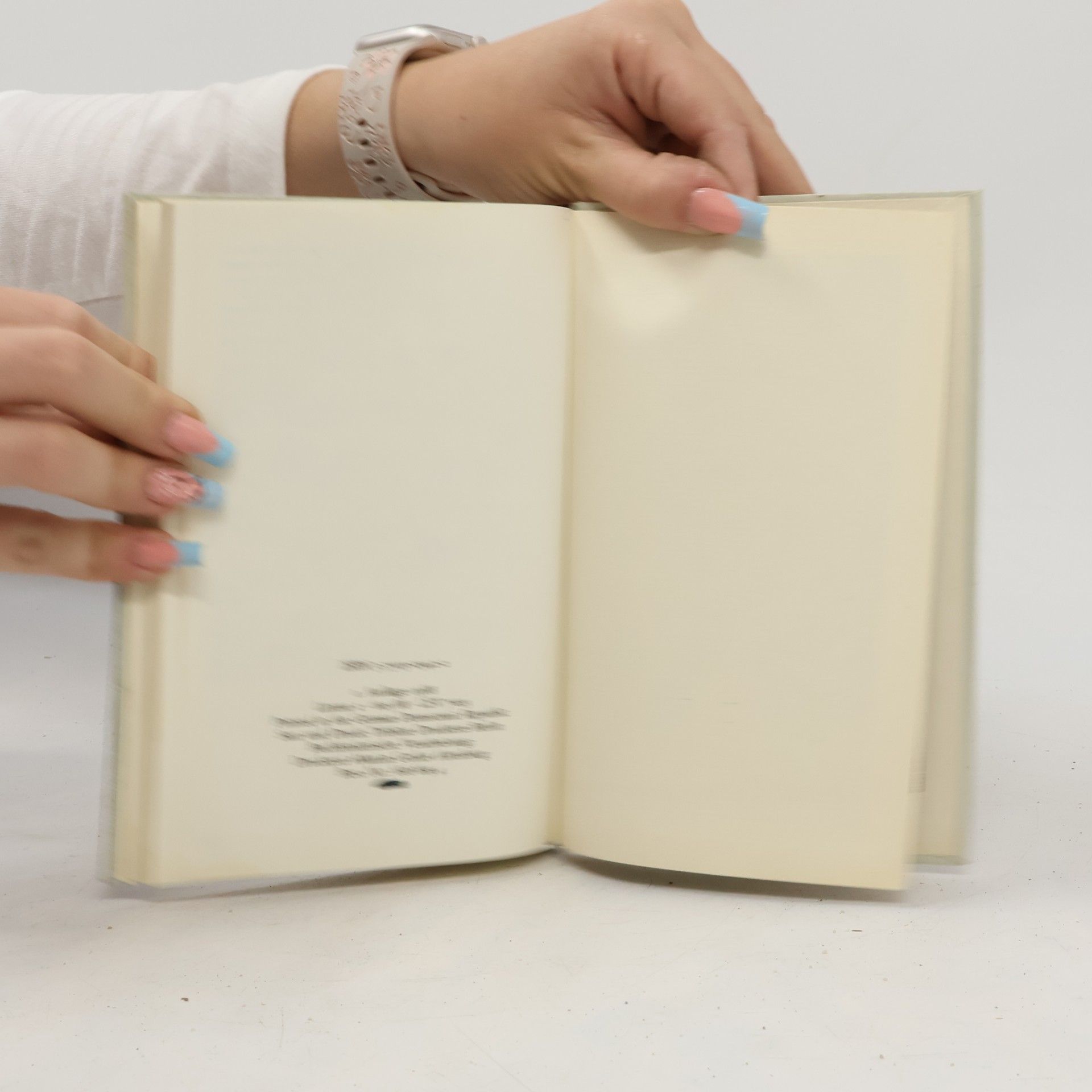 Aini Teufel Tagebuch für eine Oper