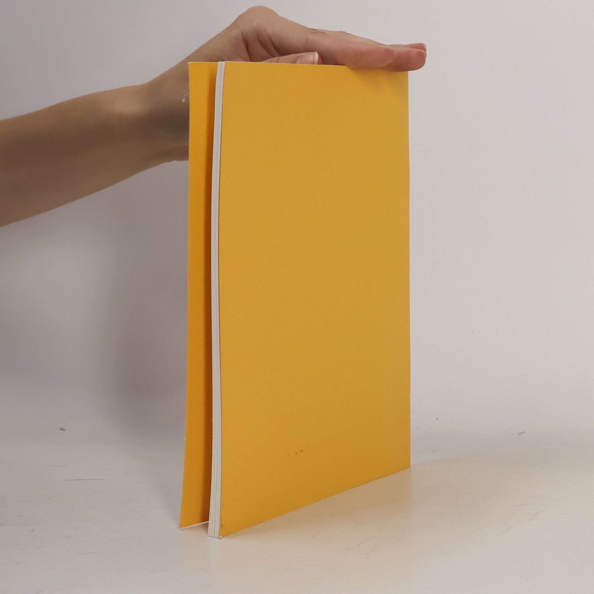 kolektiv Thomas - Mann - Archiv