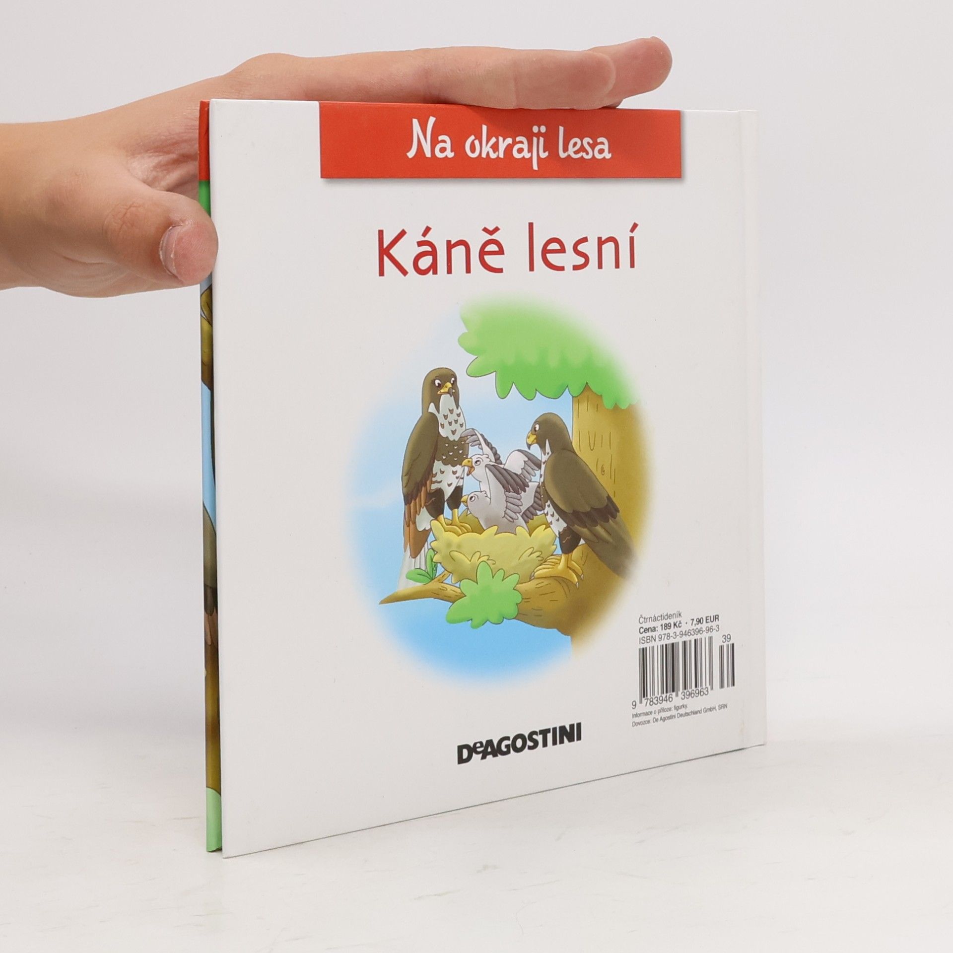 Petra Zavřelová Na okraji lesa 55. Káně lesní