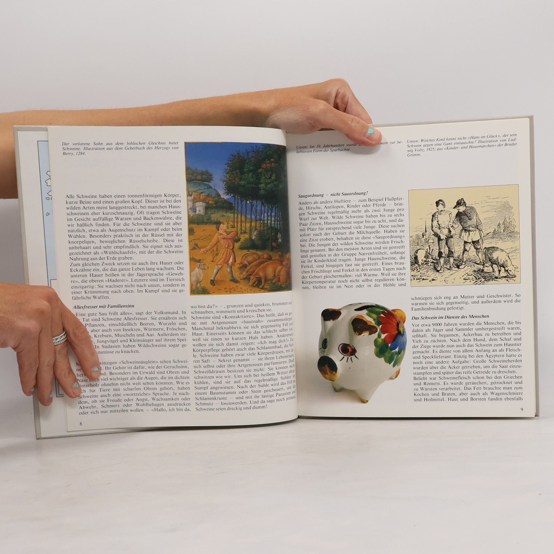 Autorenkollektiv Das Buch der Tierfamilien. Schweine