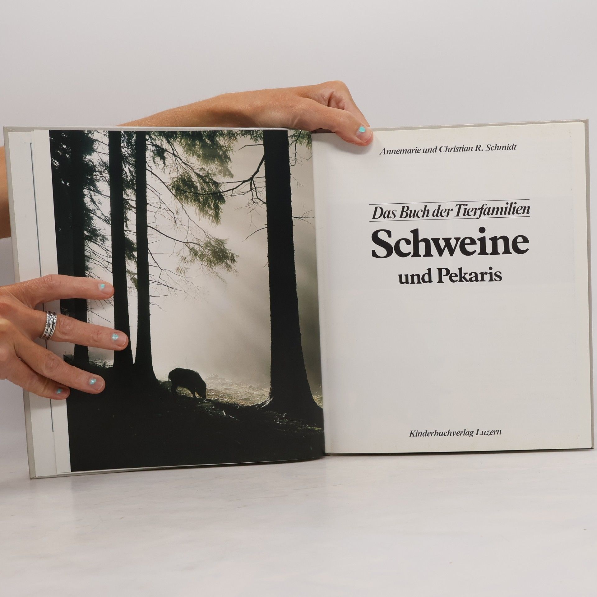Autorenkollektiv Das Buch der Tierfamilien. Schweine
