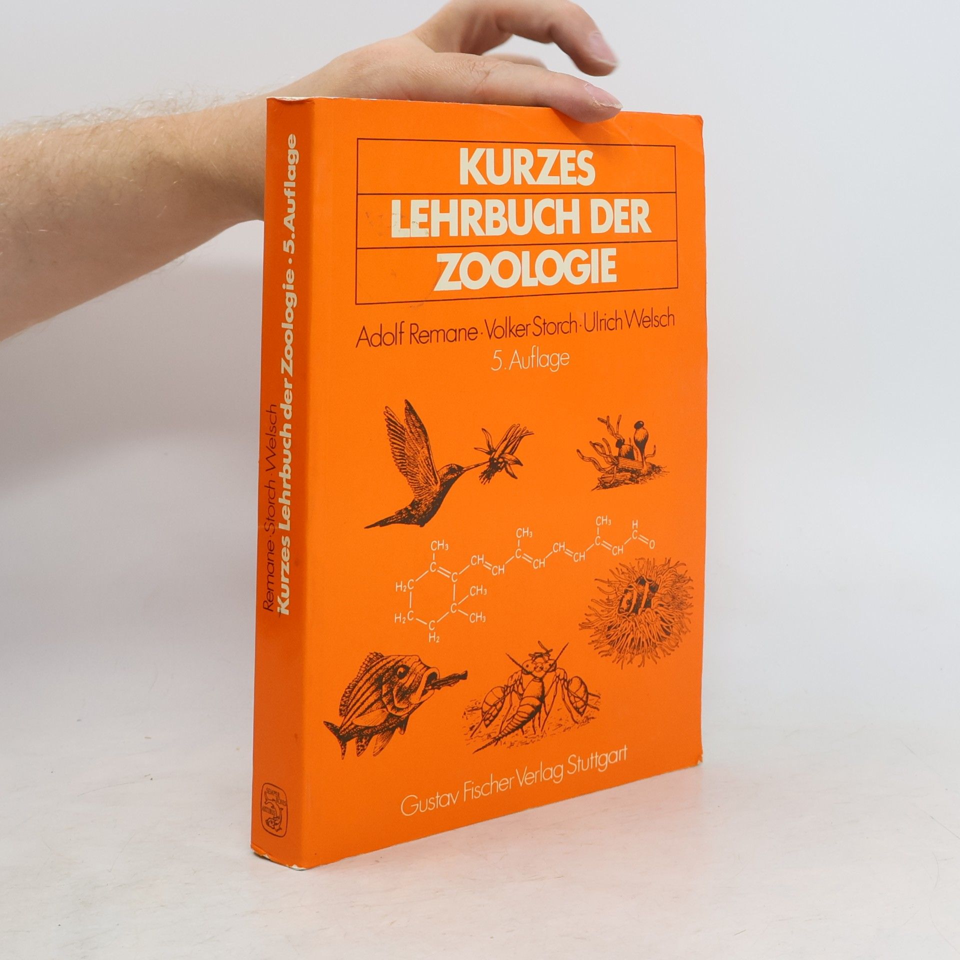 Volker Storch Kurzes Lehrbuch der Zoologie - 5. Auflage