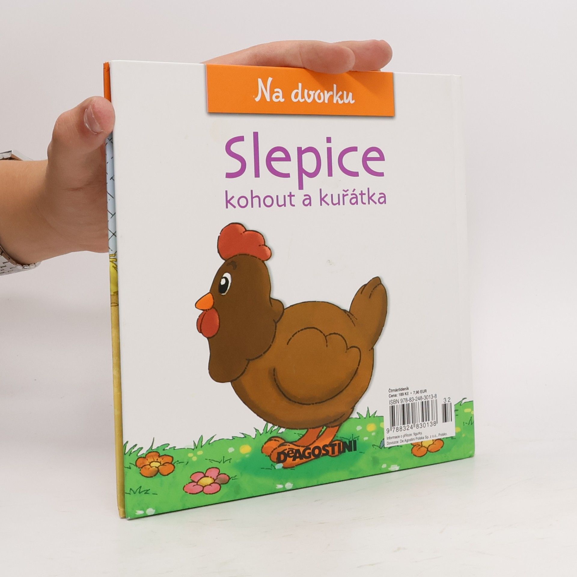 Kolektiv autorů Na dvorku 13. Slepice