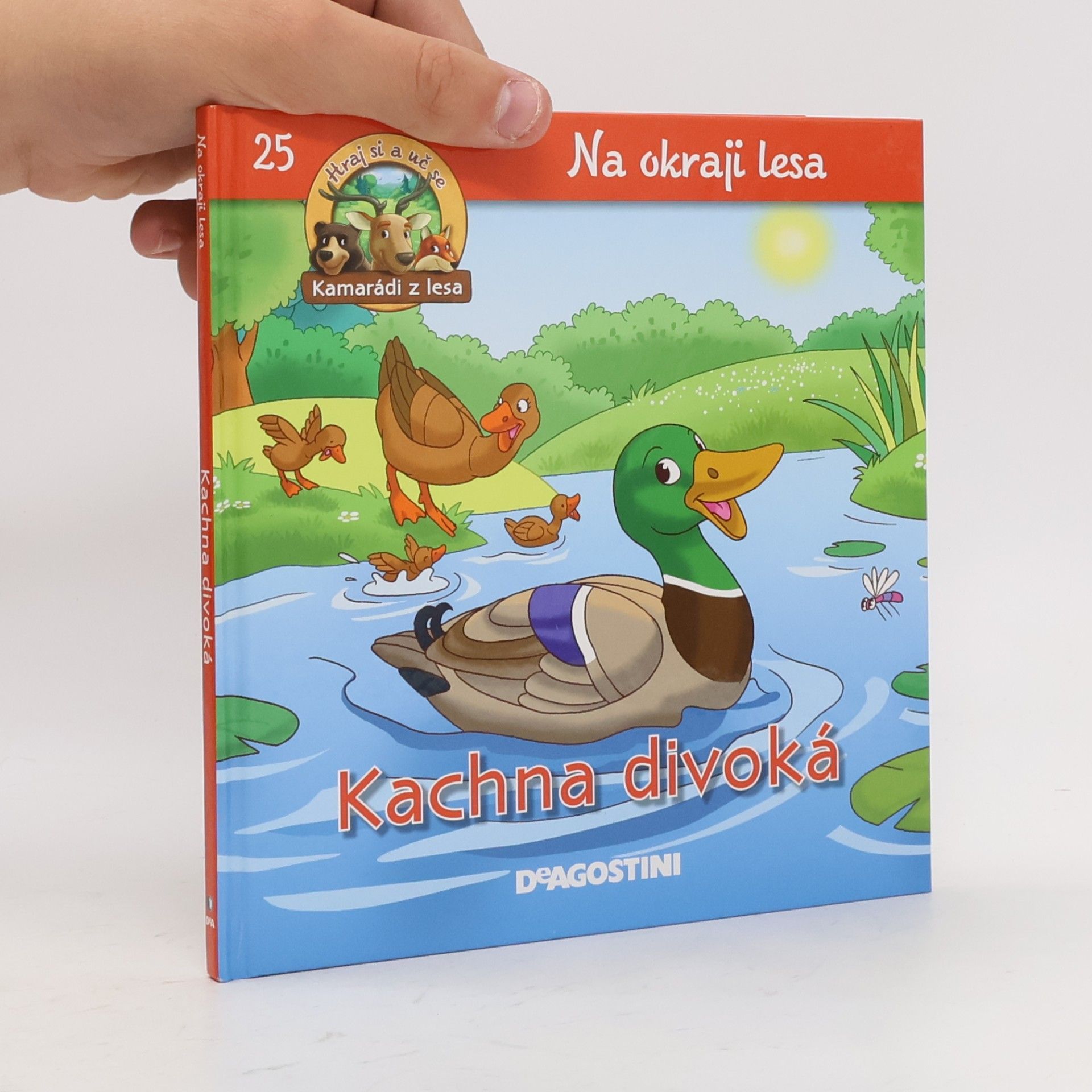 kolektiv Na okraji lesa 25. Kachna divoká