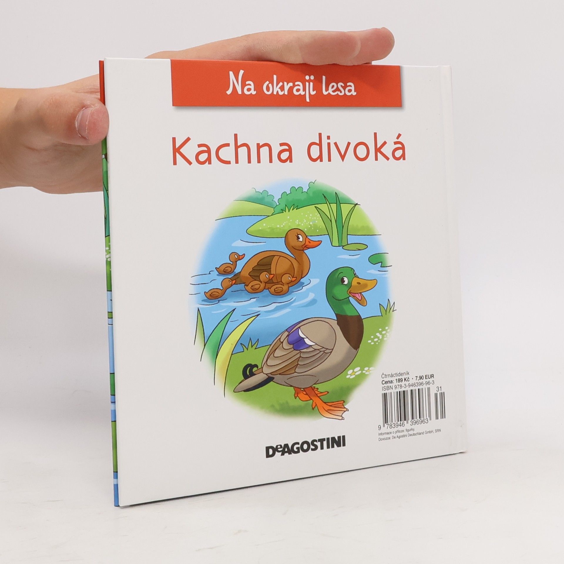 kolektiv Na okraji lesa 25. Kachna divoká