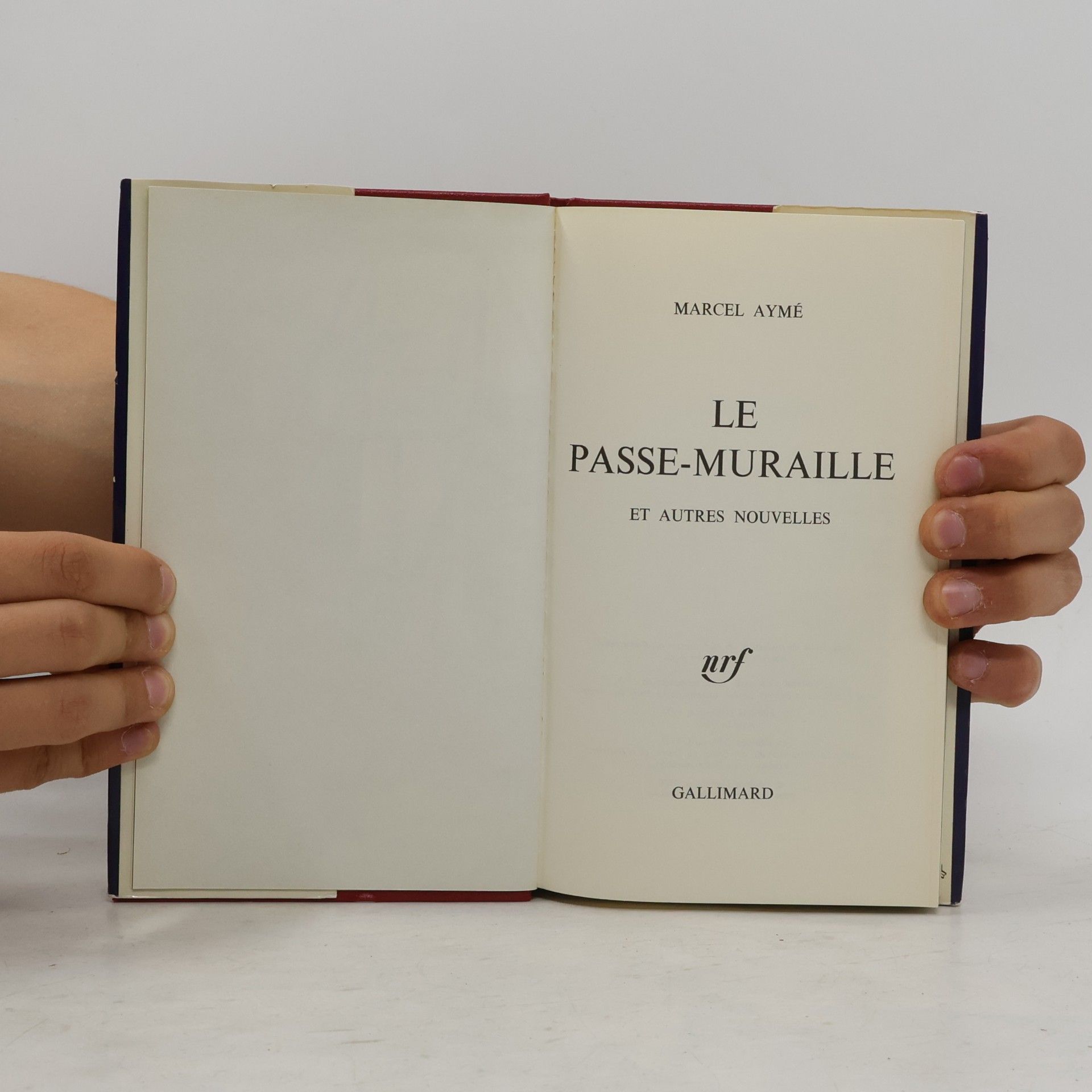 Julie Cuvillier-Courtot La Passe-Muraille