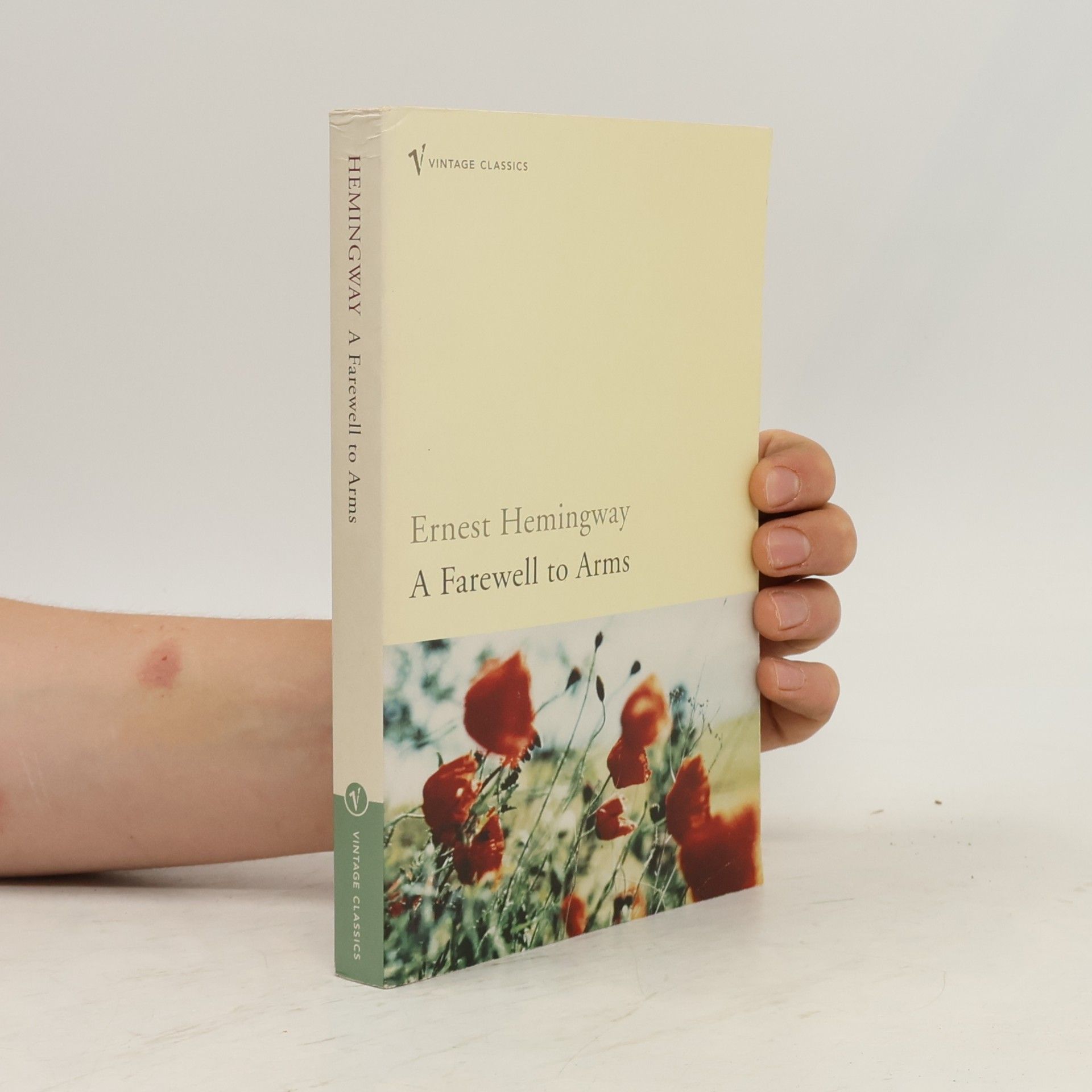 Ernest Hemingway A farewell to arms