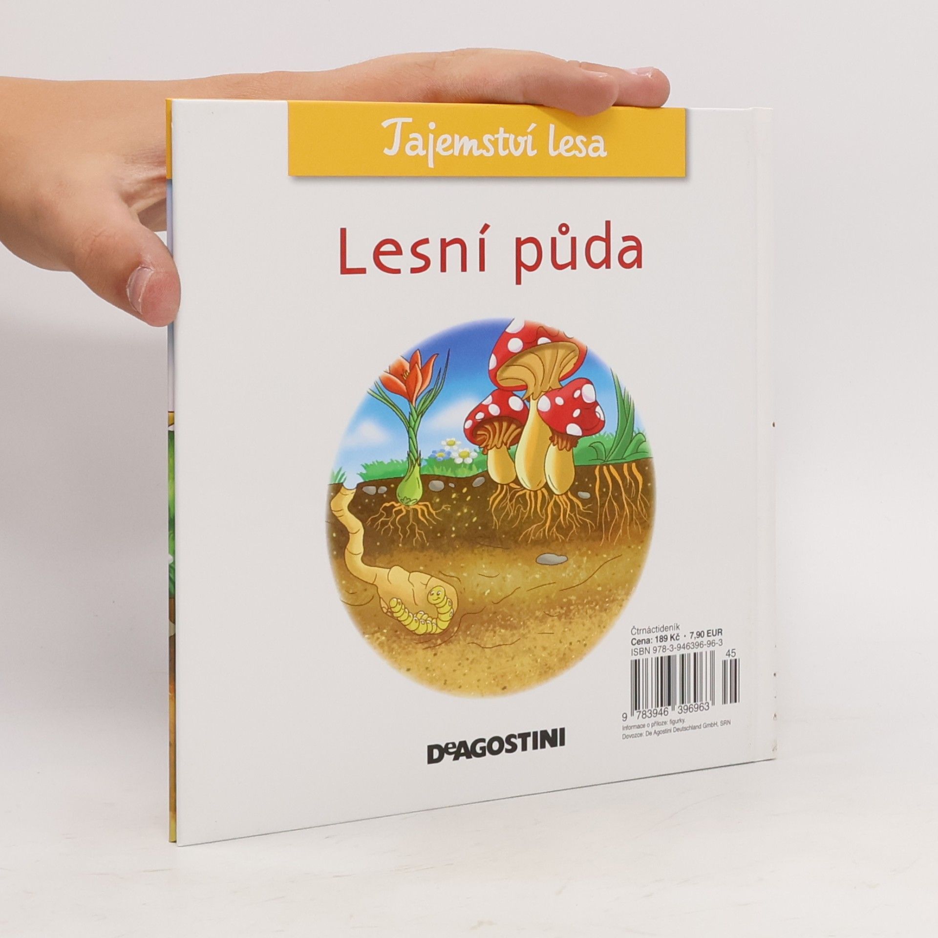 Autorenkollektiv Tajemství lesa 58. Lesní půda