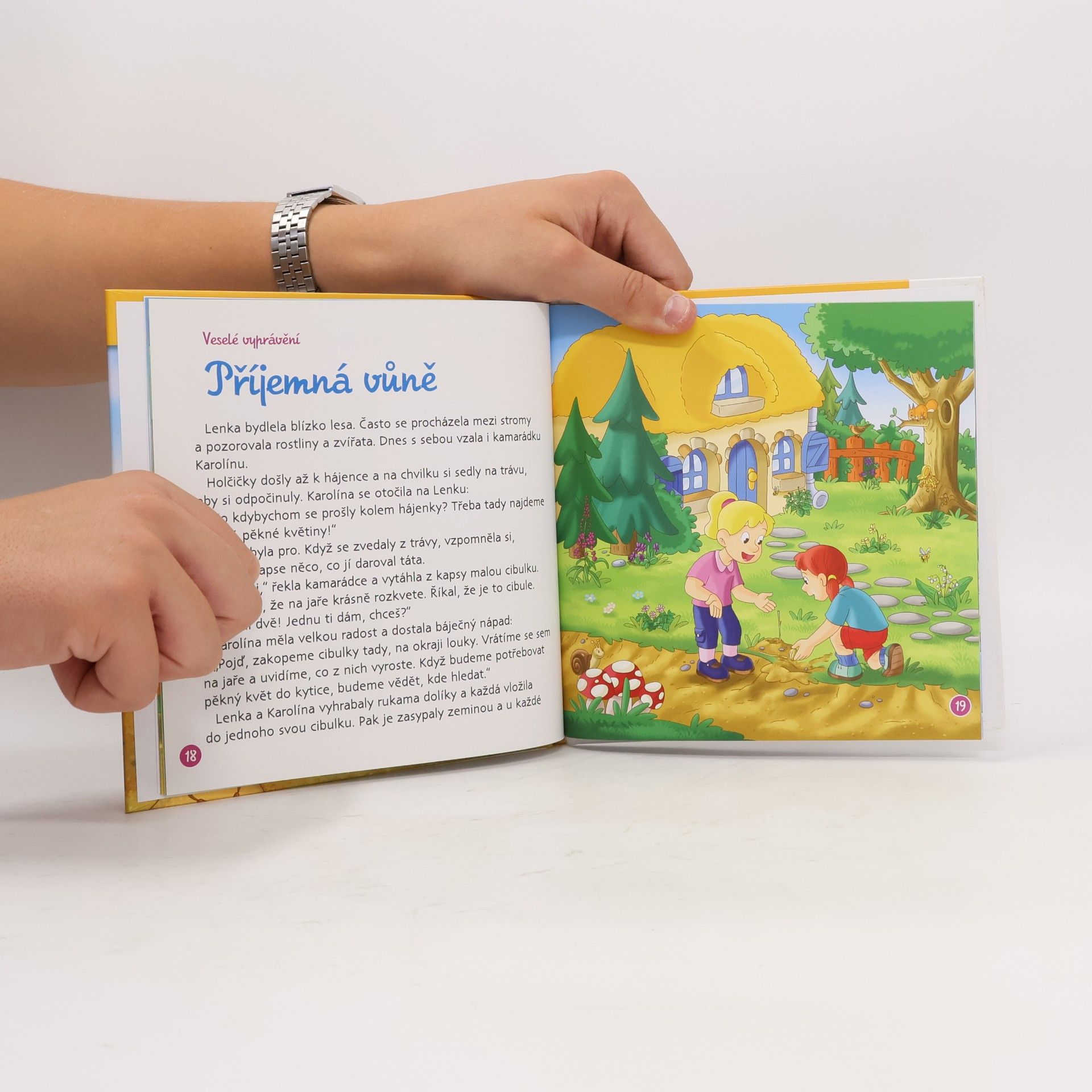 Autorenkollektiv Tajemství lesa 58. Lesní půda