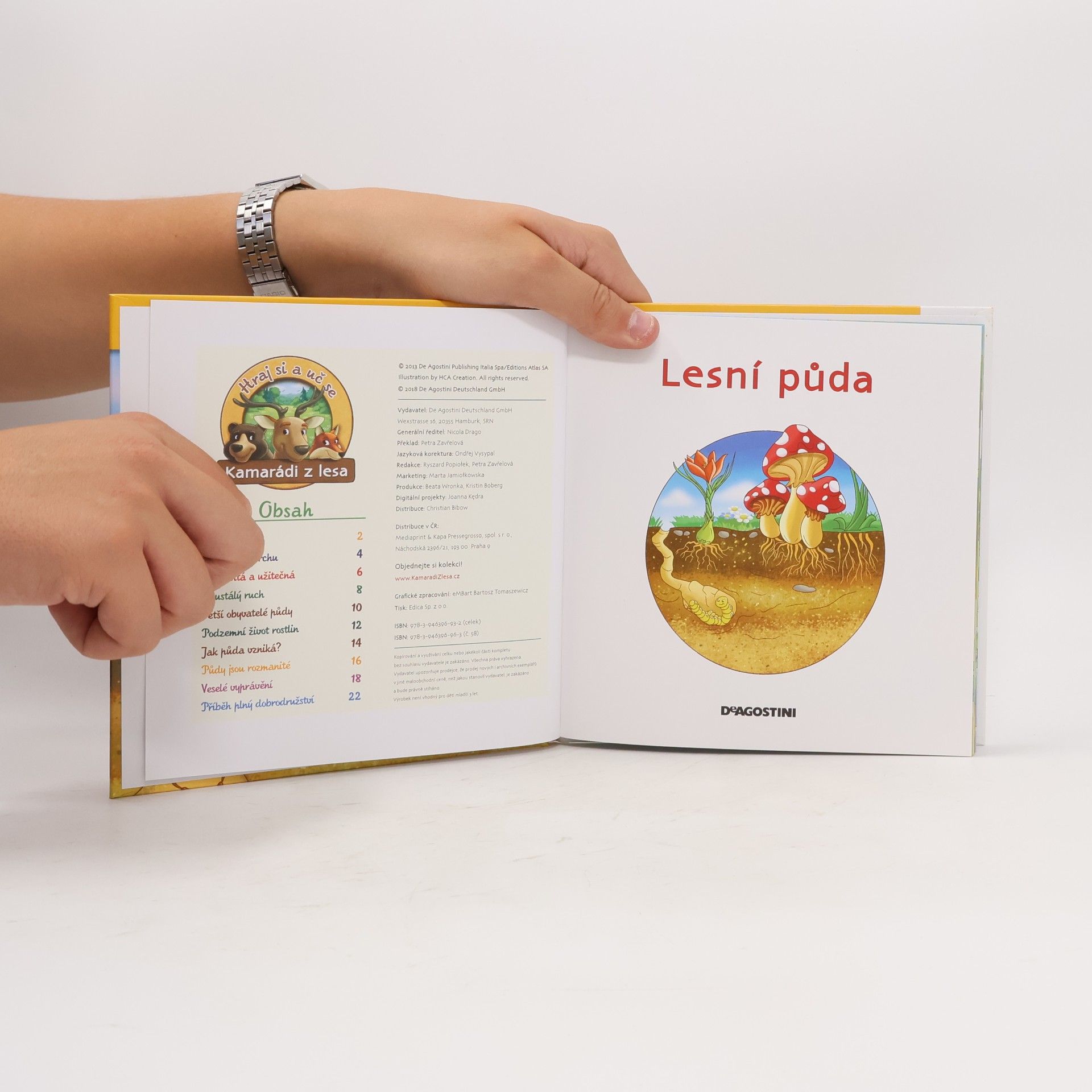Autorenkollektiv Tajemství lesa 58. Lesní půda