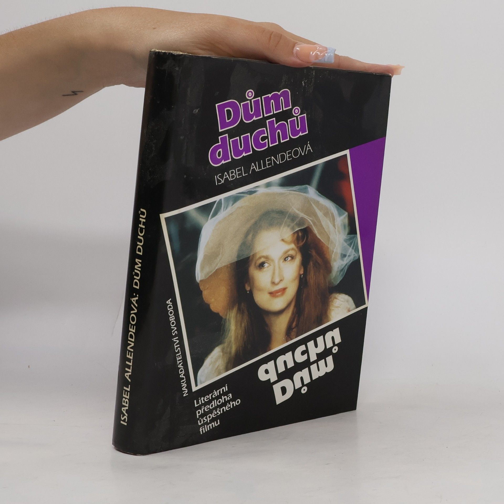 Isabel Allende Dům duchů