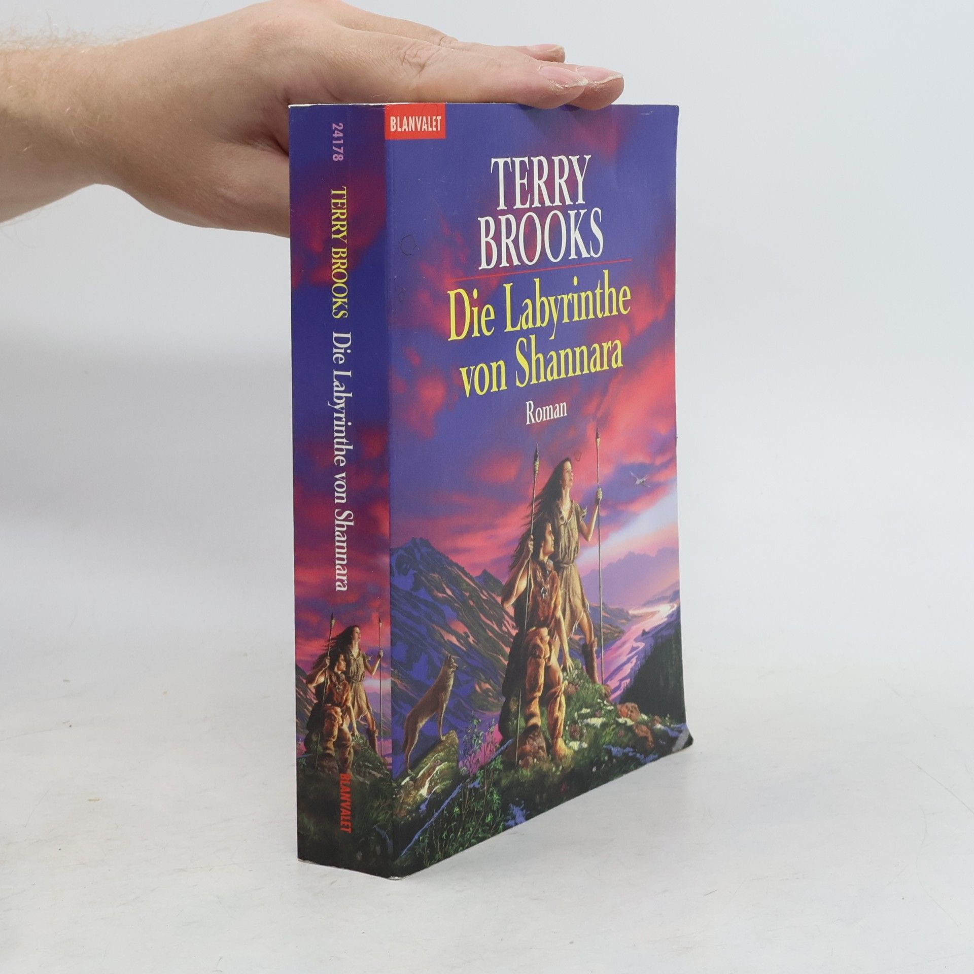 Terry Brooks Die Labyrinthe von Shannara